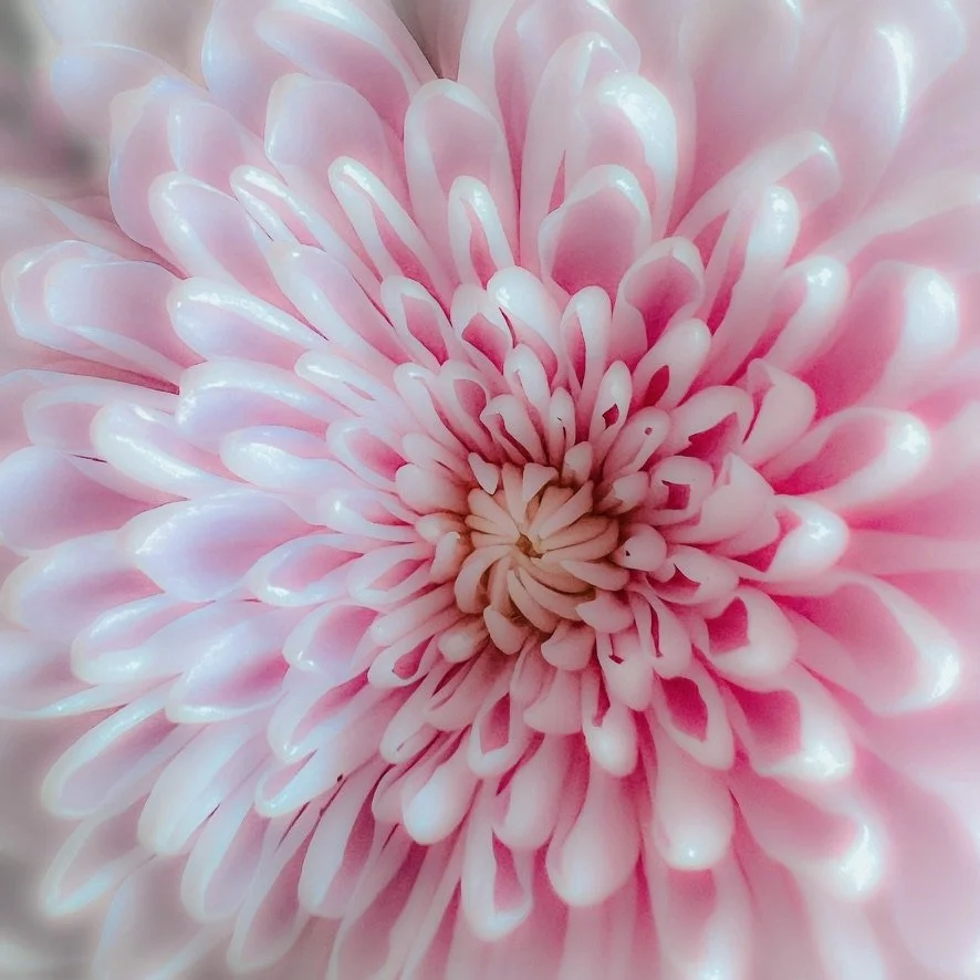 0859F179-3CA9-40AD-8DFC-6ACBCB51E300_1_105_c.jpeg