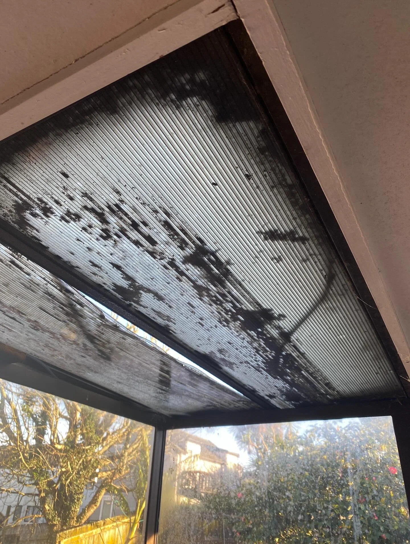 Small job but a big improvement! 

Great way to round out the week with our customer finally able to utilise their porch area.

Have a great weekend from the team at Beach Joinery. 

#beachjoinery #windowrepair #doorrepair #conservatoryrenovation #po