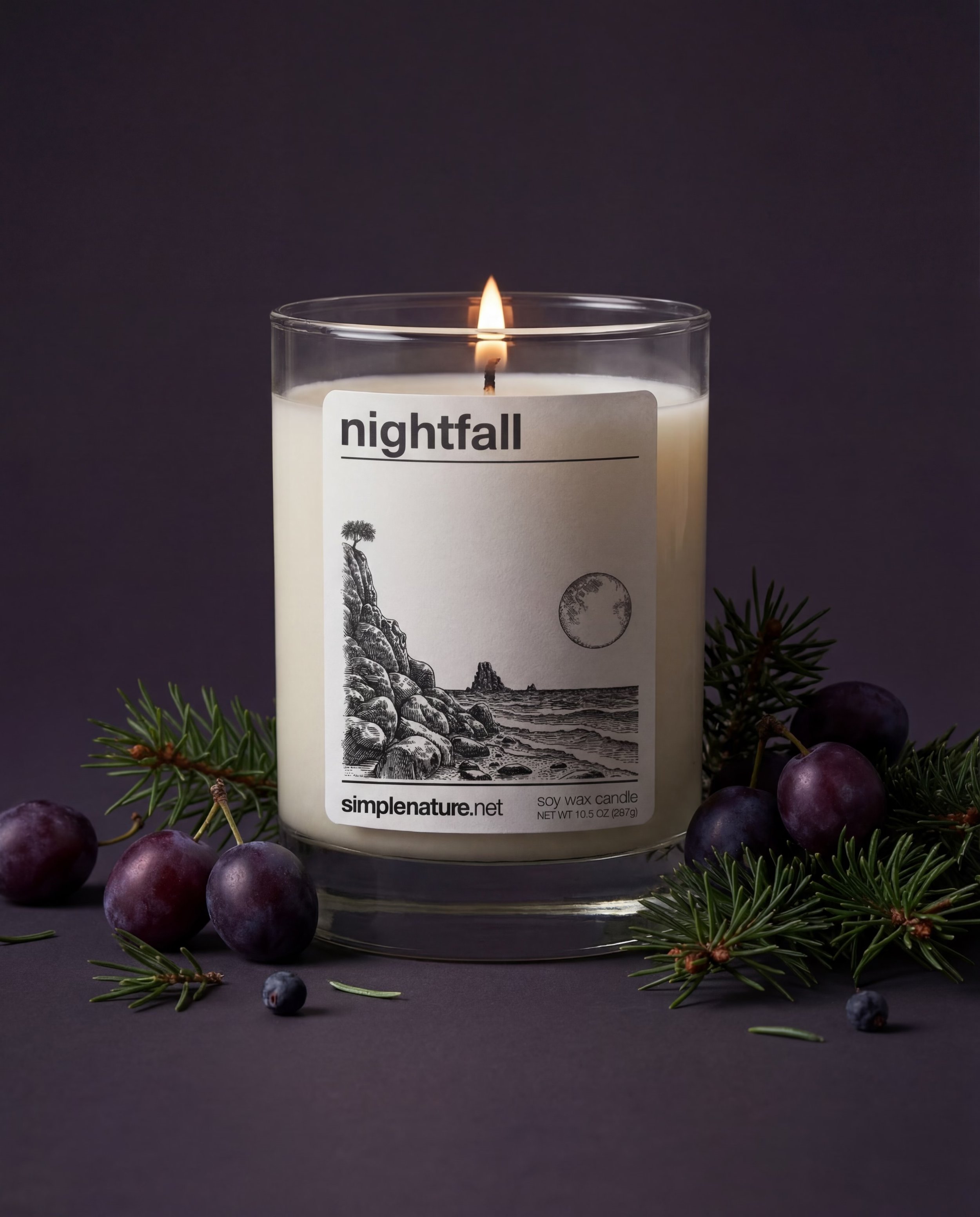 Nightfall-Simple-Nature-Soy-Wax-Candle-Long-Lasting-Travel-Destination-Vacation-Theme-Holiday-Gift-Safe-Non-Toxic-Fragrance-Oil-Plum-compressed.jpeg