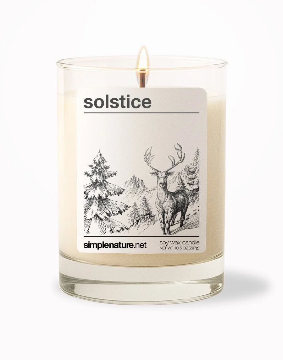 Solstice Front On.jpeg