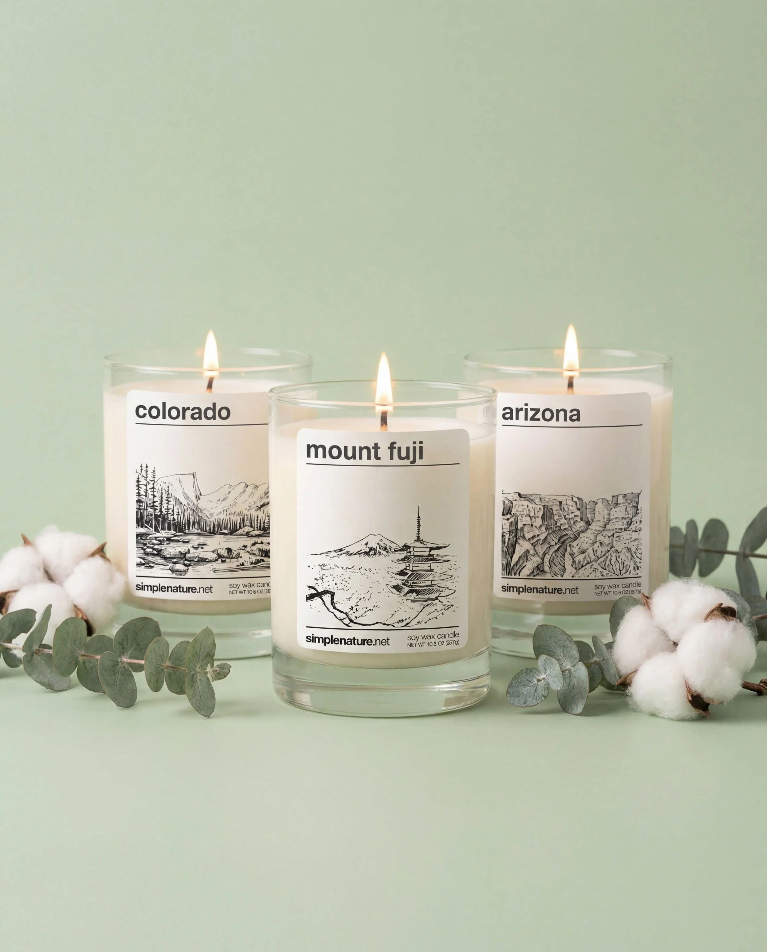 Three lit candles in glass holders with labels reading 'seamist', 'colorado', and 'mount fuji', surrounded by green eucalyptus branches on a light green surface.