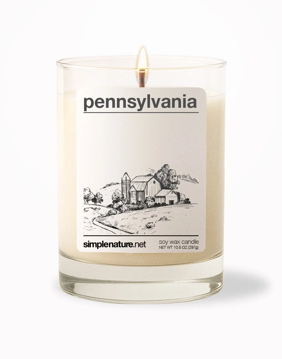 Pennsylvania Front On.jpeg