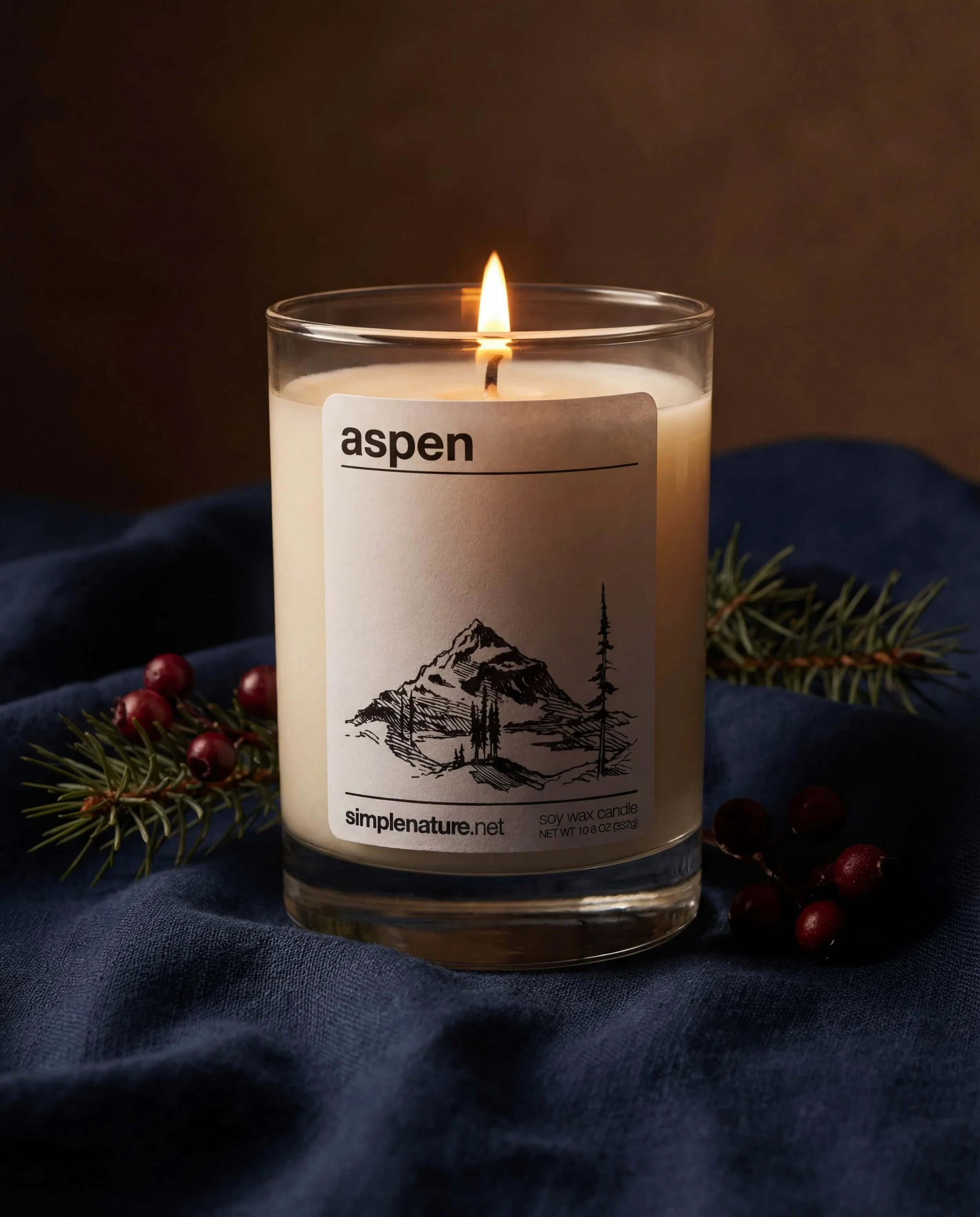 Aspen-Soy-Wax-Travel-Theme-Winter-Berry-Candle.jpeg