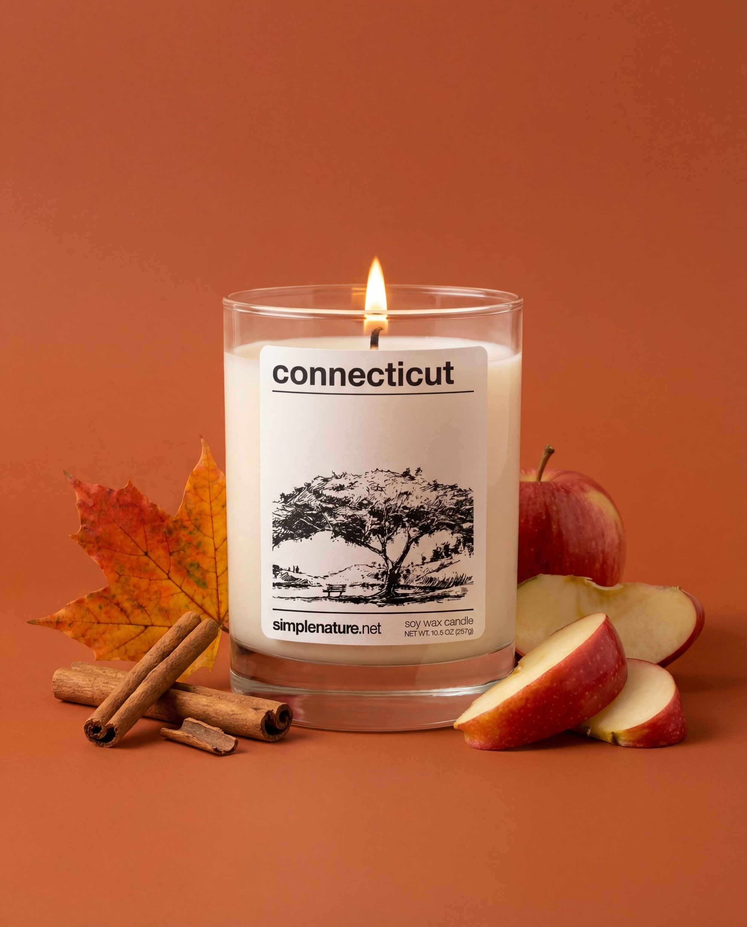 Connecticut-Simple-Nature-Soy-Wax-Candle-Long-Lasting-Travel-Destination-Vacation-Theme-Holiday-Gift-Safe-Non-Toxic-Fragrance-Oil-Cinnamon-Apple-compressed.jpeg
