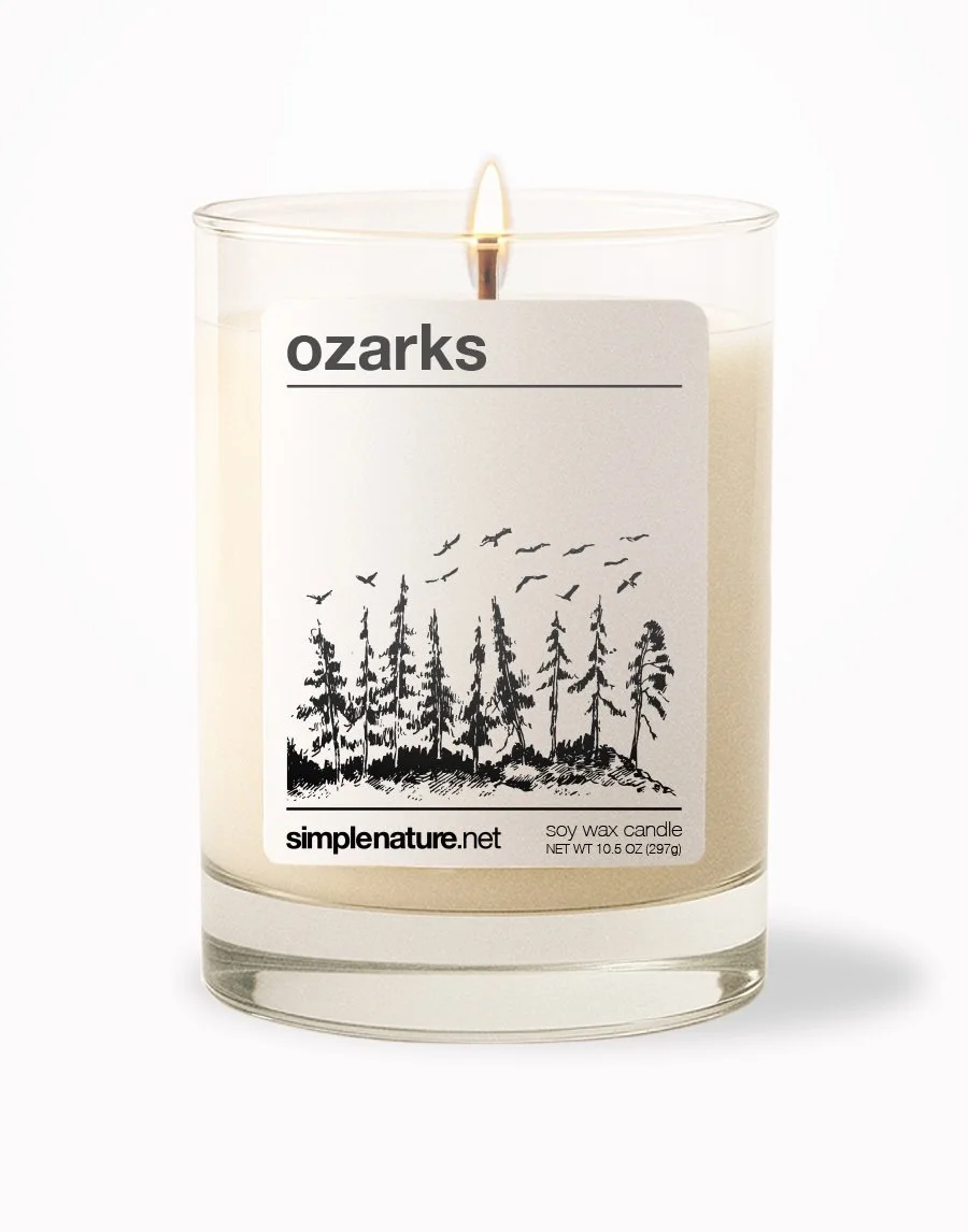 Ozarks Front On.jpeg