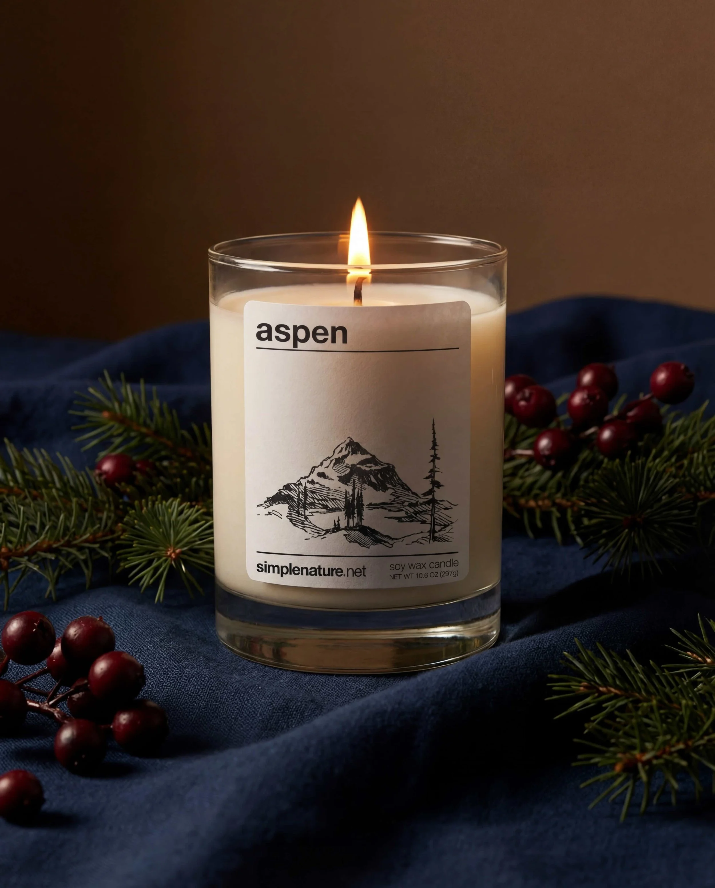 Aspen-Soy-Wax-Travel-Theme-Winter-Berry-Candle-2.jpeg
