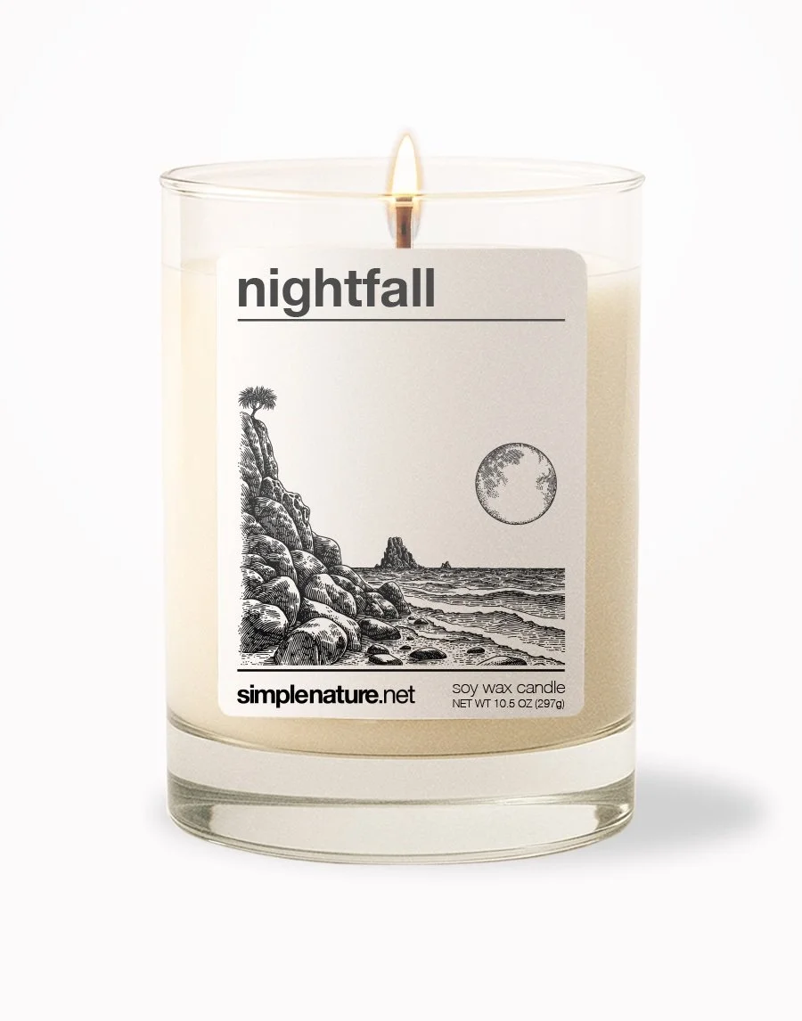 Nightfall Front On.jpeg