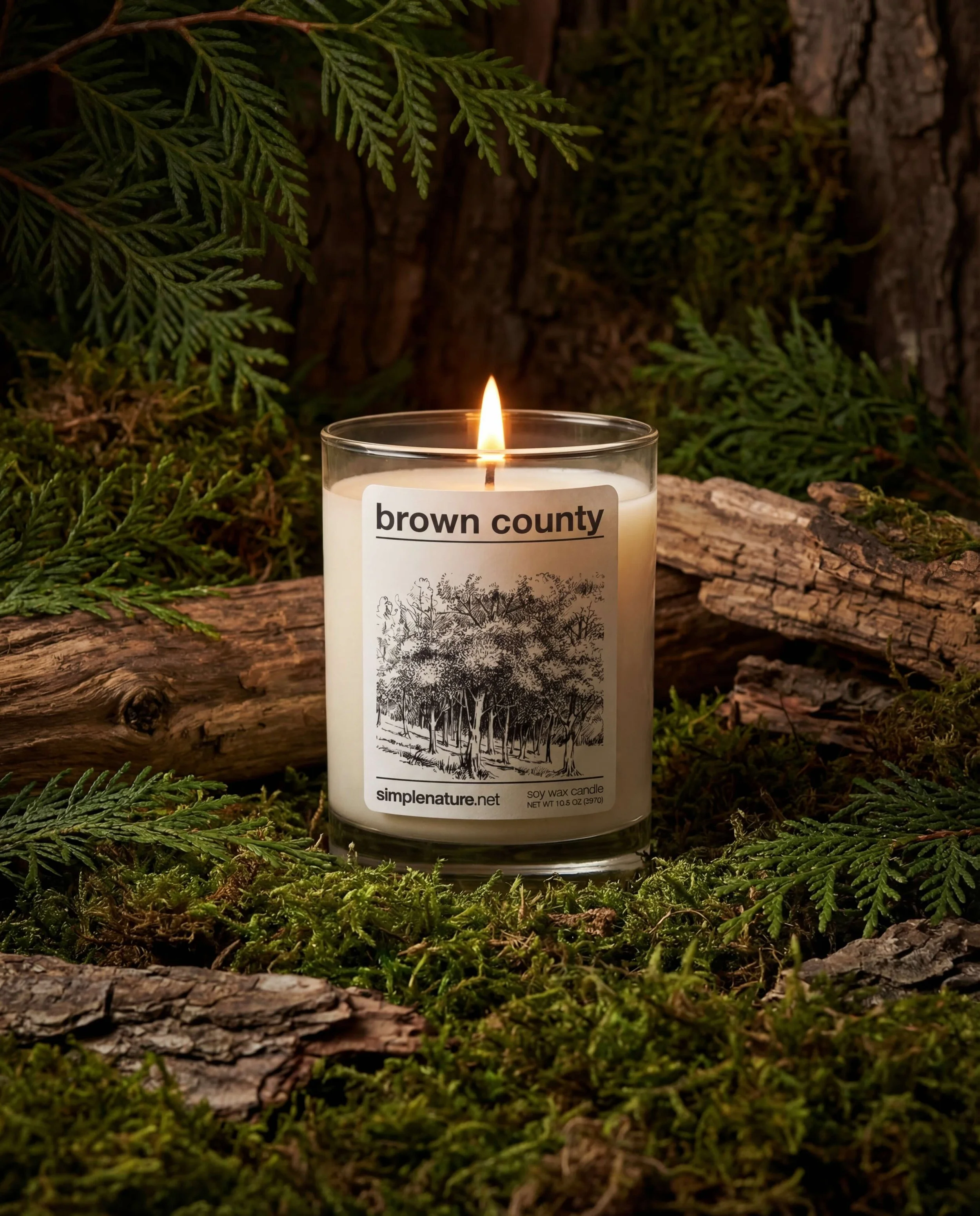 Brown-County-Travel-Theme-Indiana-Park-Candle-Soy-wax-2.jpeg