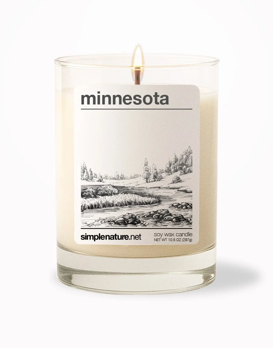 Minnesota Front On.jpeg