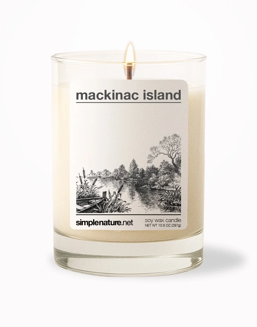 Mackinac Island Front On.jpeg