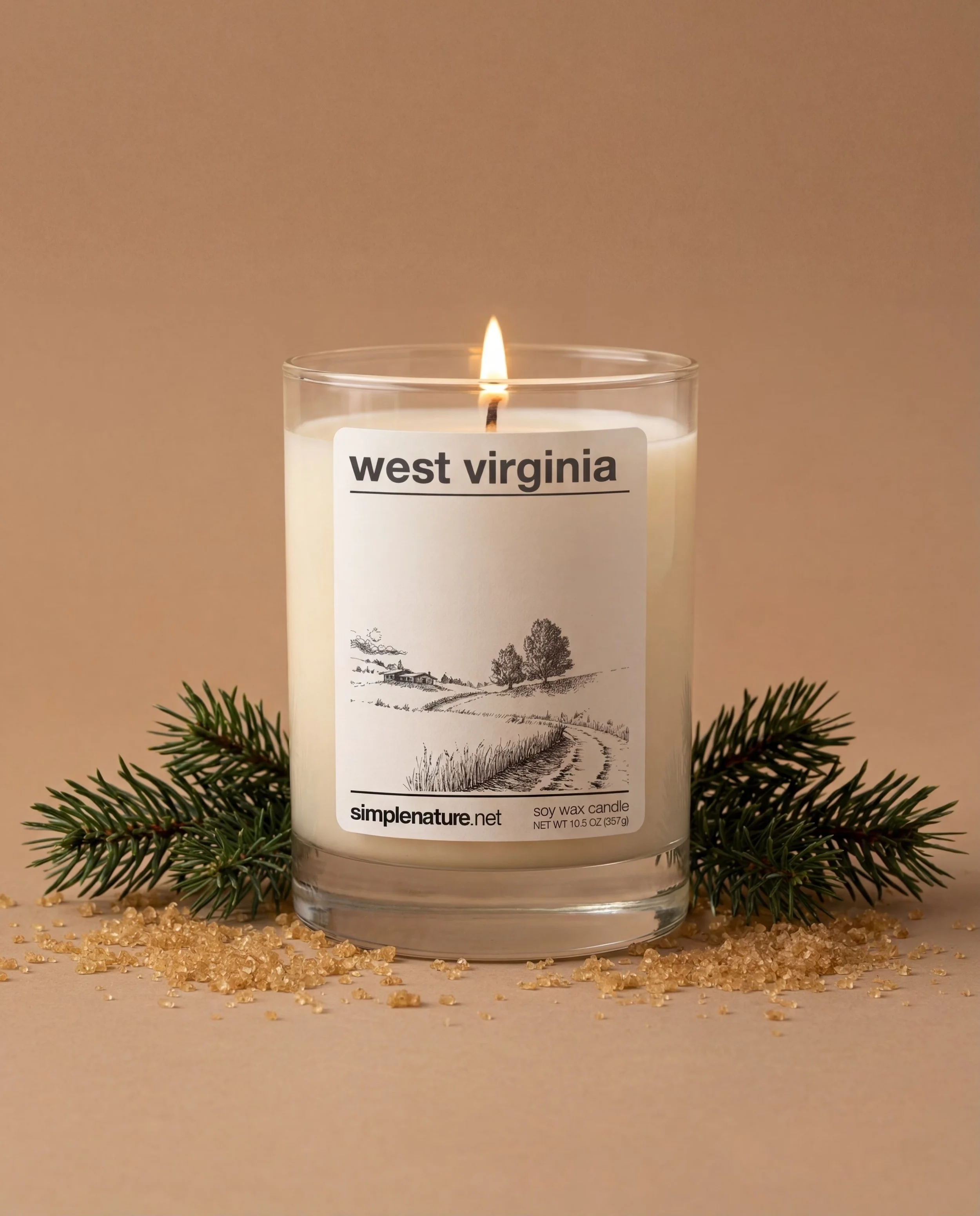 West-Virginia-Simple-Nature-Soy-Wax-Candle-Long-Lasting-Travel-Destination-Vacation-Theme-Holiday-Gift-Safe-Non-Toxic-Fragrance-Oil-compressed.jpeg