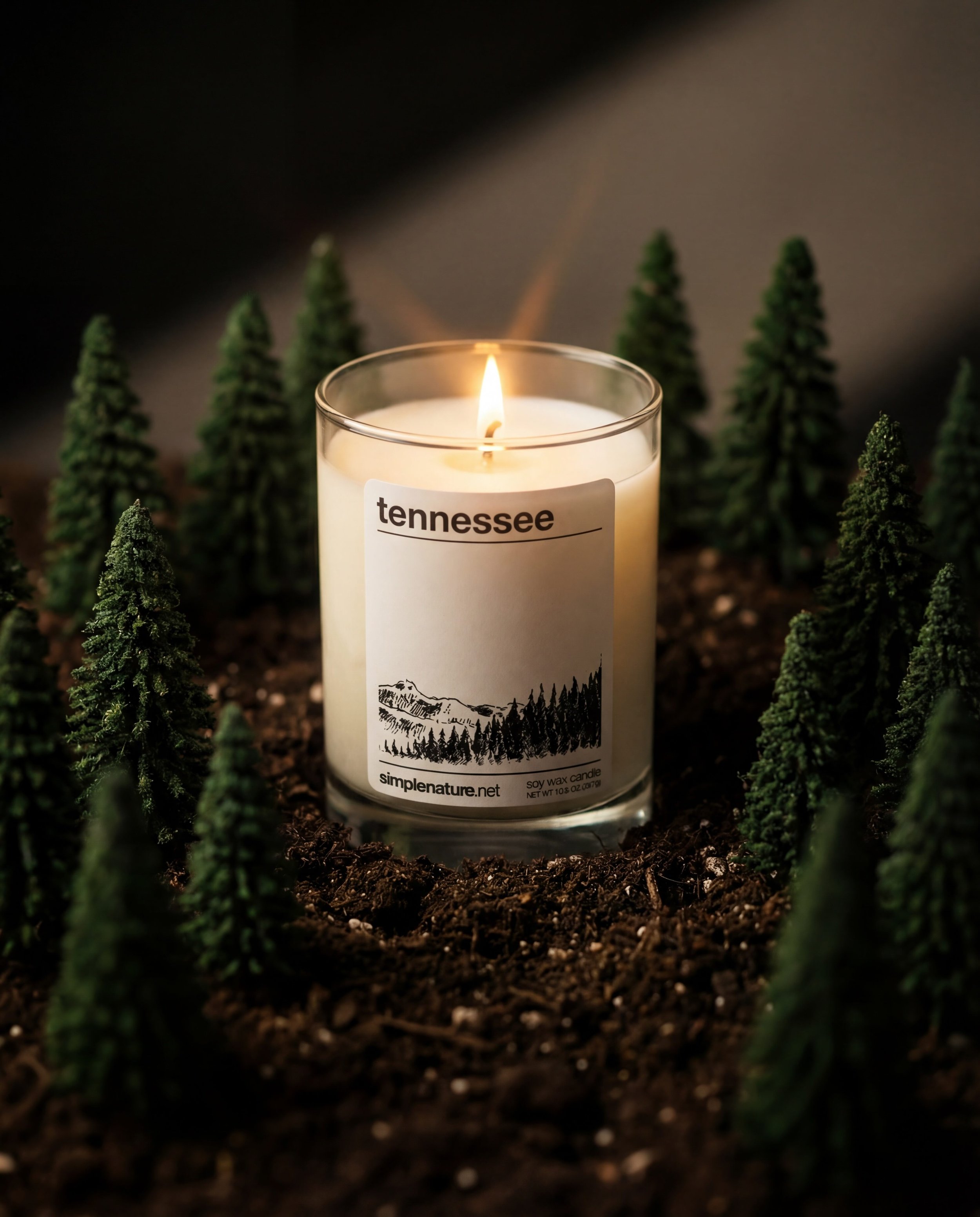 Tennessee-Soy-Wax-Candle-green-Natural-Simple-Long-Lasting-Fragrance-Travel-Home-Decor-Woody-Smoke.jpeg
