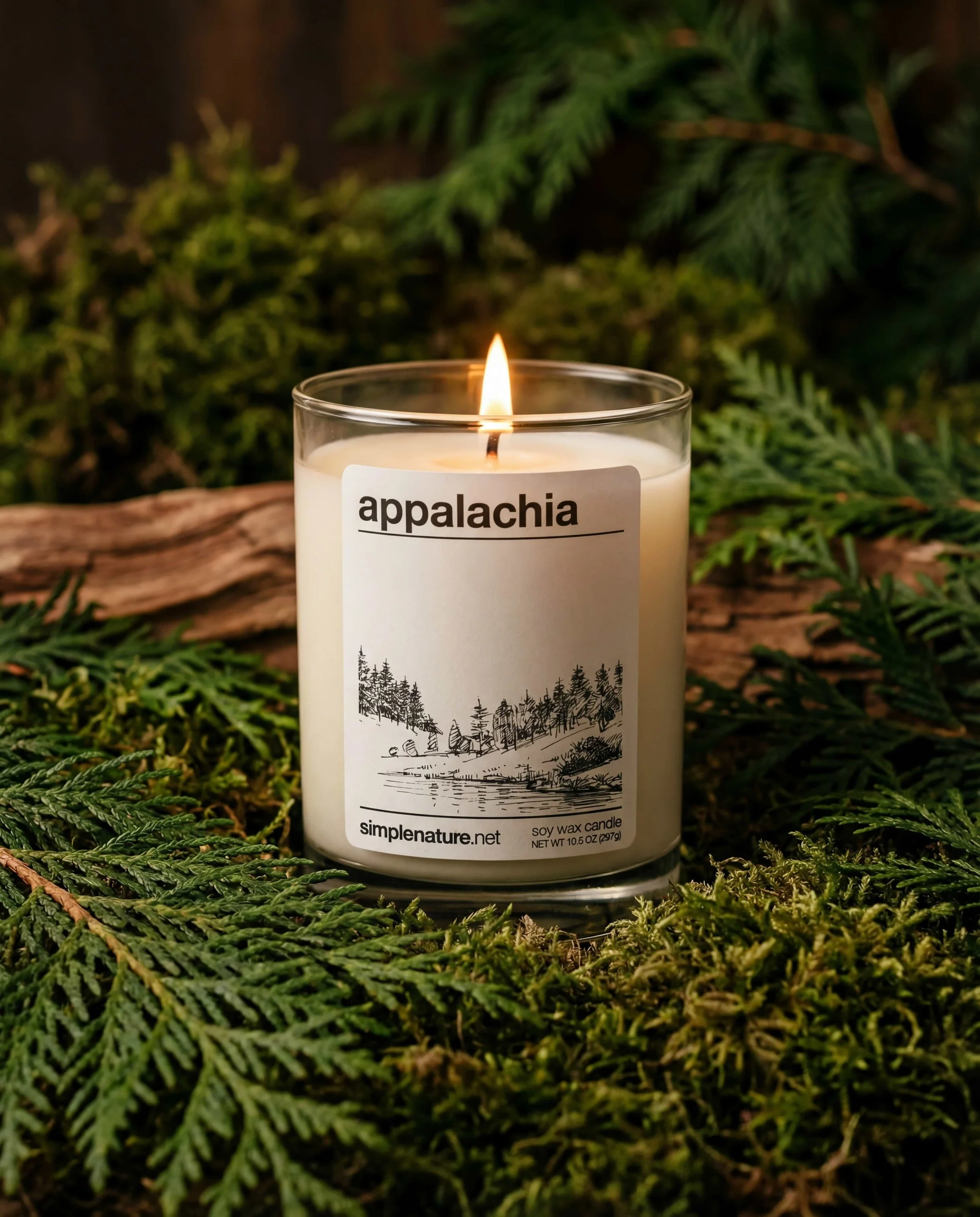 Appalachia-Soy-Wax-Candle-Fir-Travel-Home-Decor.jpeg