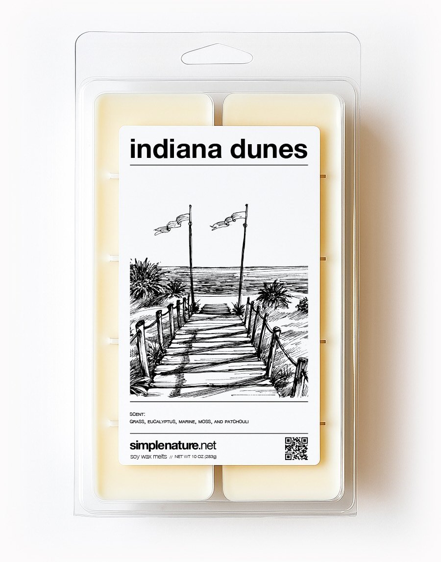 INDIANA DUNES
