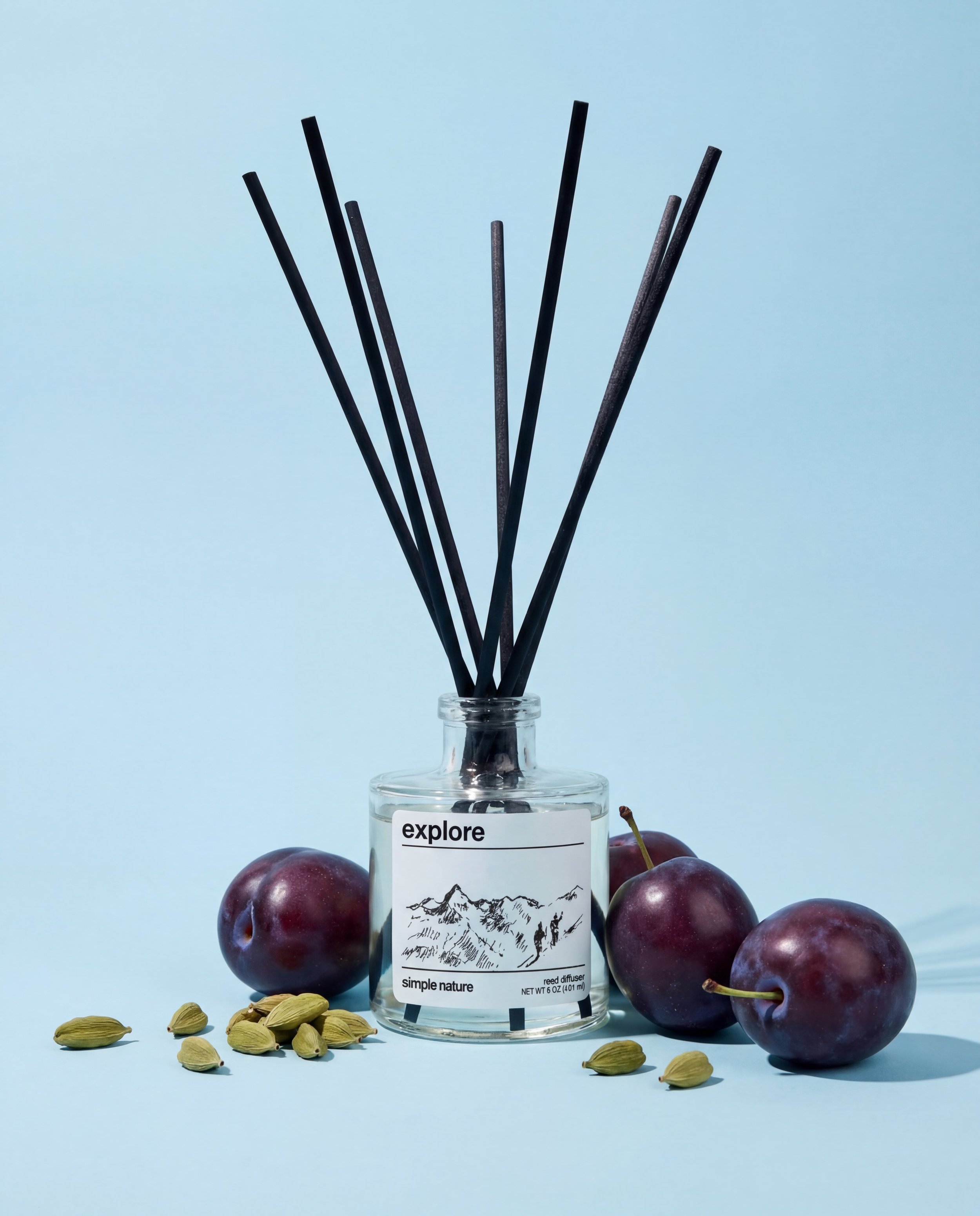 explore-Reed-Diffuser-Simple-Nature-long-lasting-fragrance-essential-oils-safe-non-toxic-travel-theme-destination-vacation-smooth.jpeg