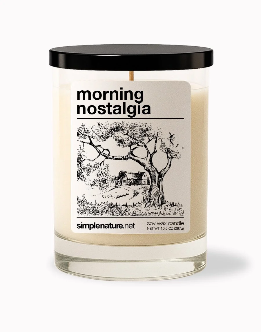 Morning Nostalgia Front Off.jpeg