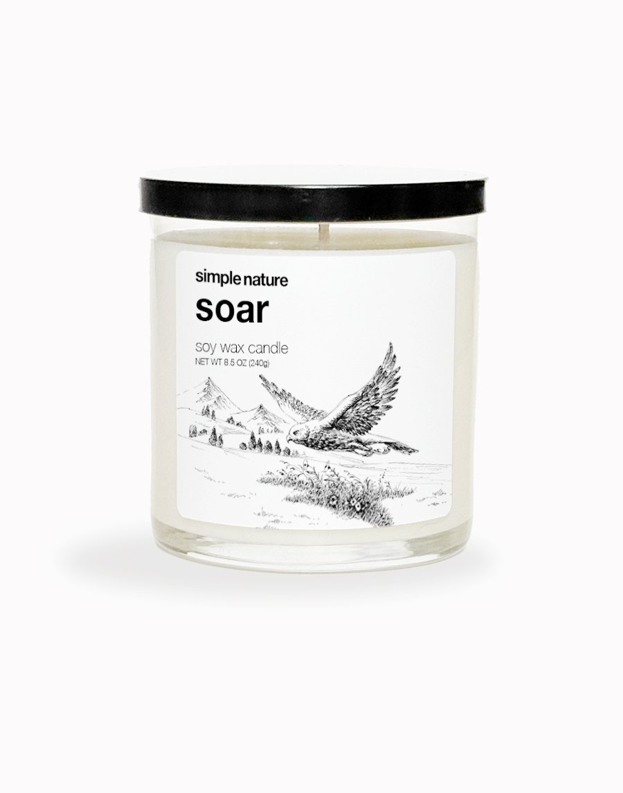 SOAR (DISCONTINUED)