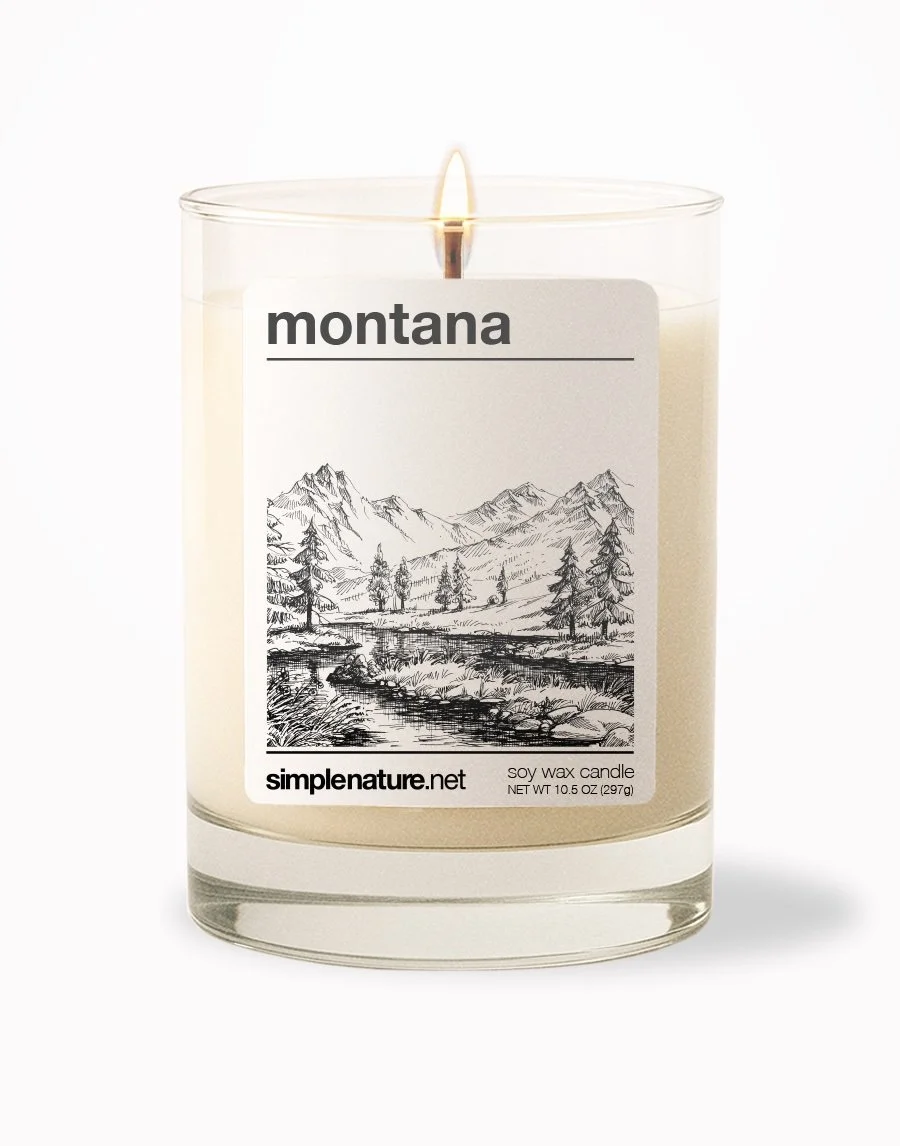 Montana Front On.jpeg