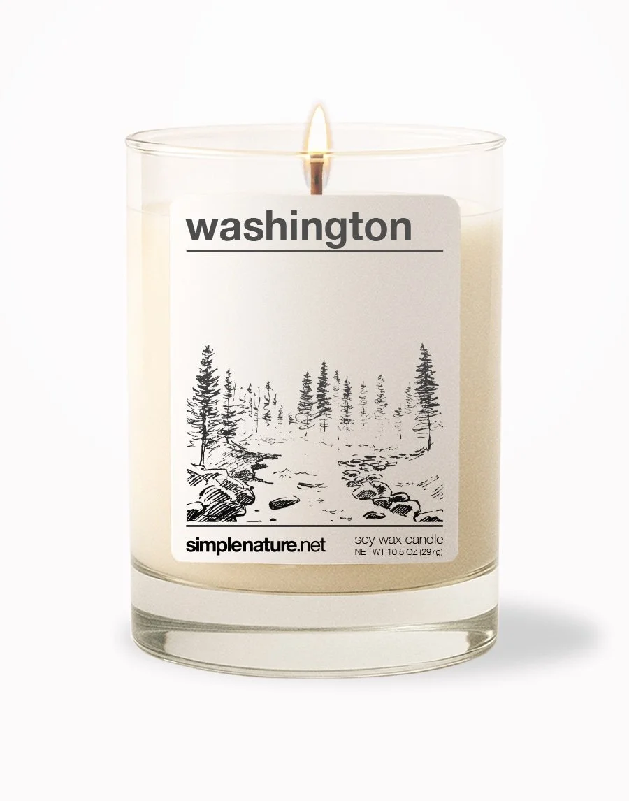 Washington Front On.jpeg