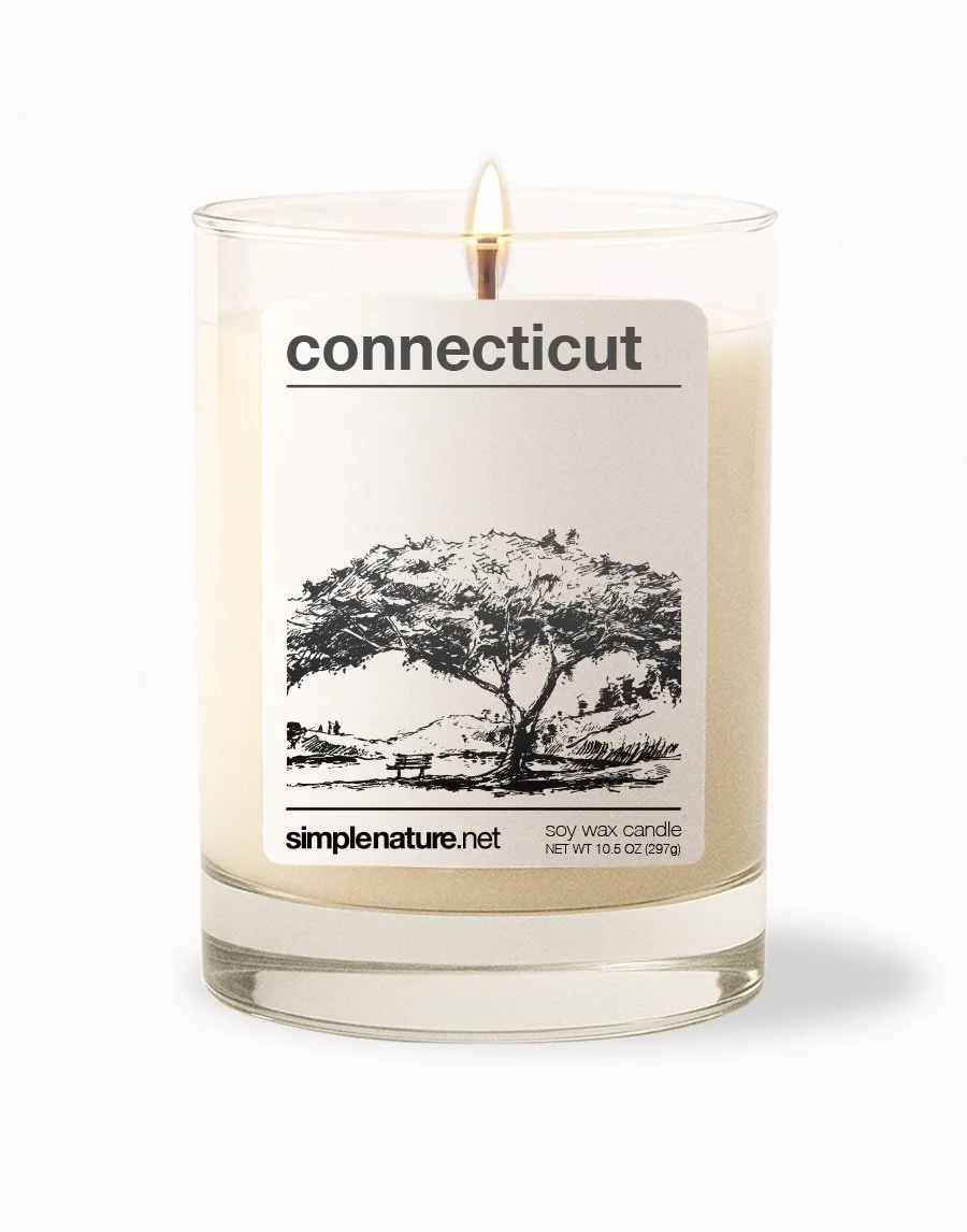 Connecticut Front On.jpeg