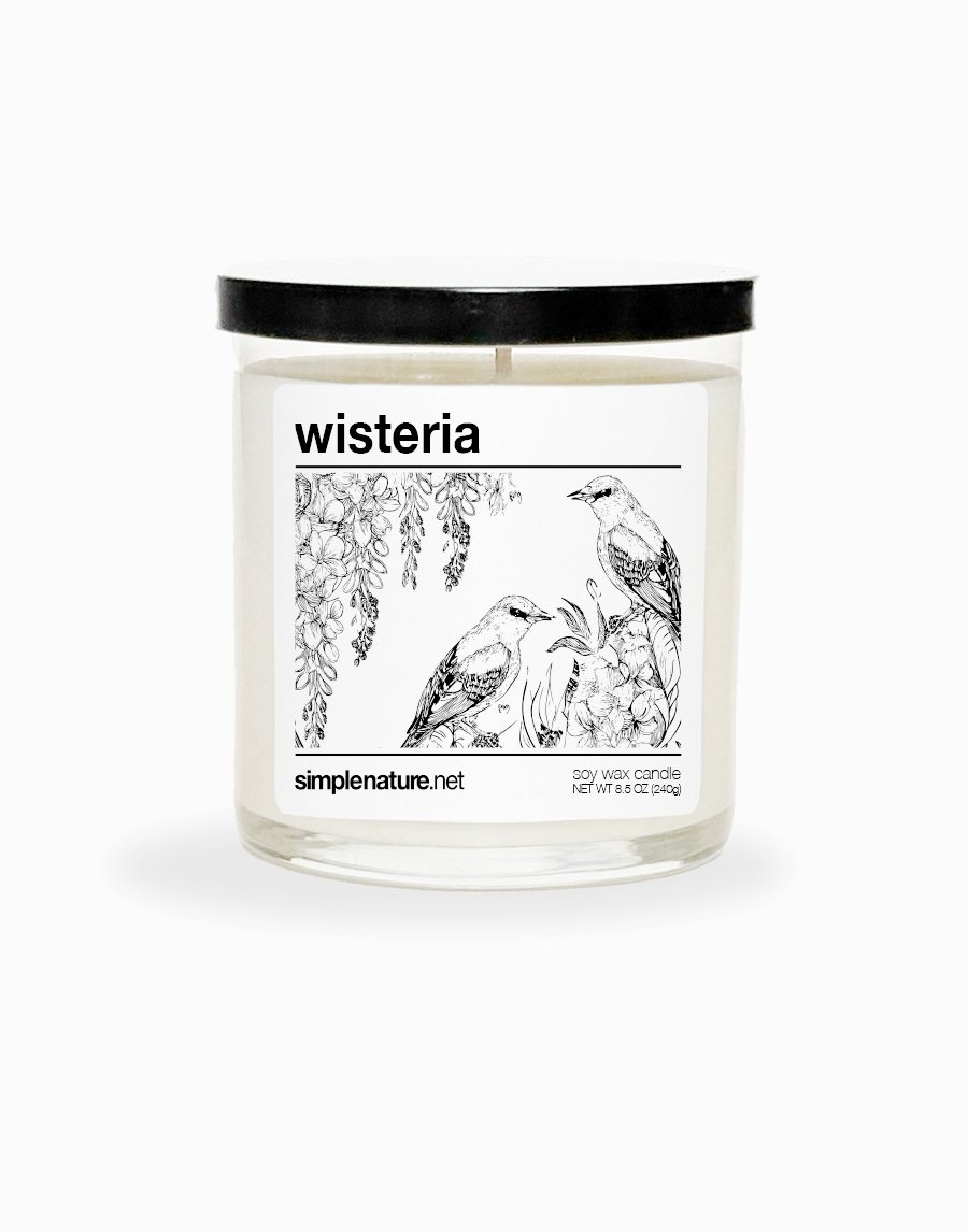 wisteria Front Off copy.jpeg