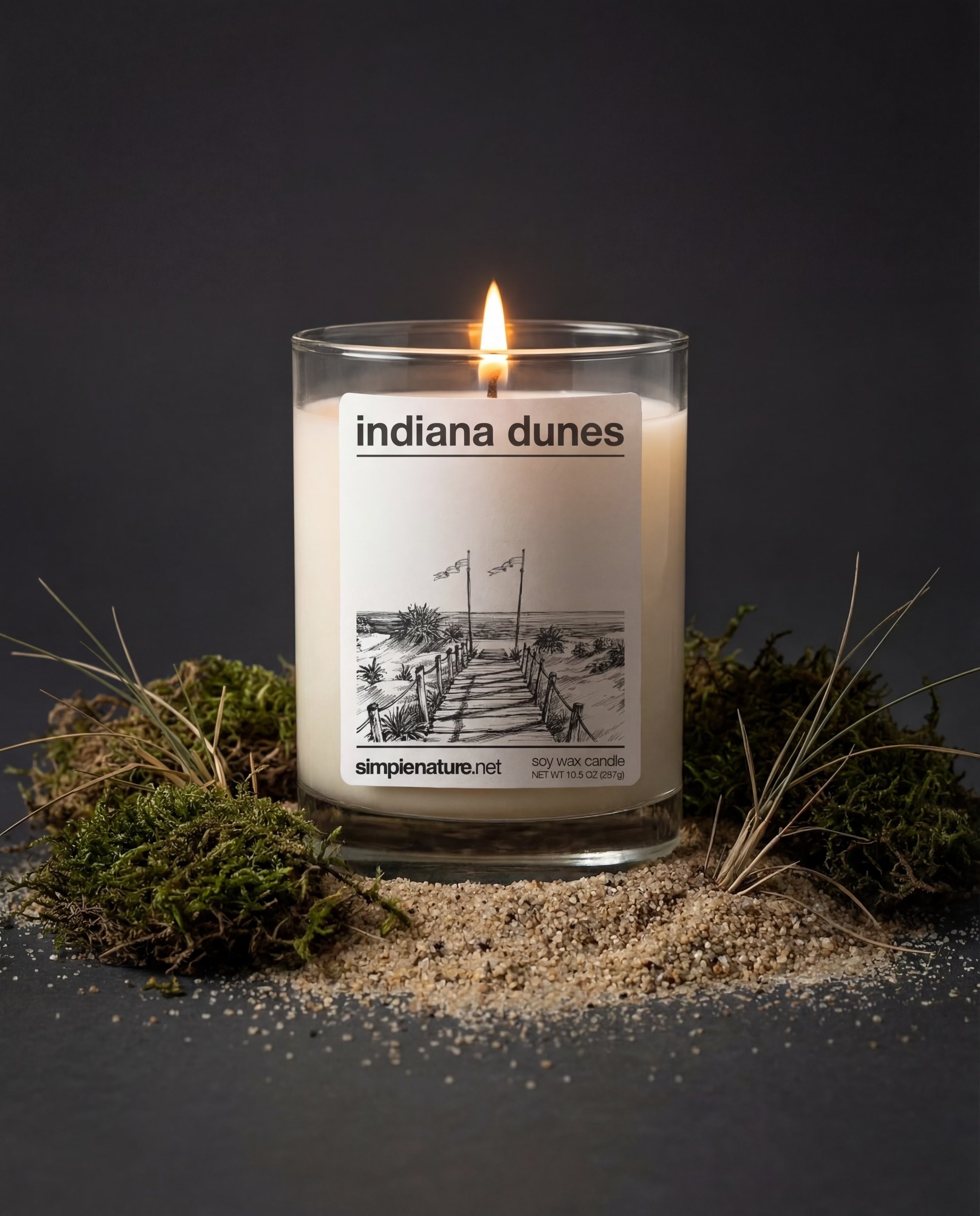 Indiana-Dunes-Simple-Nature-Soy-Wax-Candle-Long-Lasting-Travel-Destination-Vacation-Theme-Holiday-Gift-Safe-Non-Toxic-Fragrance-Oil-compressed.jpeg