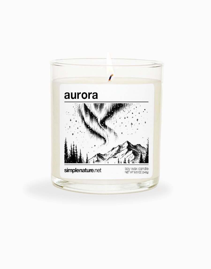 aurora front on.jpeg