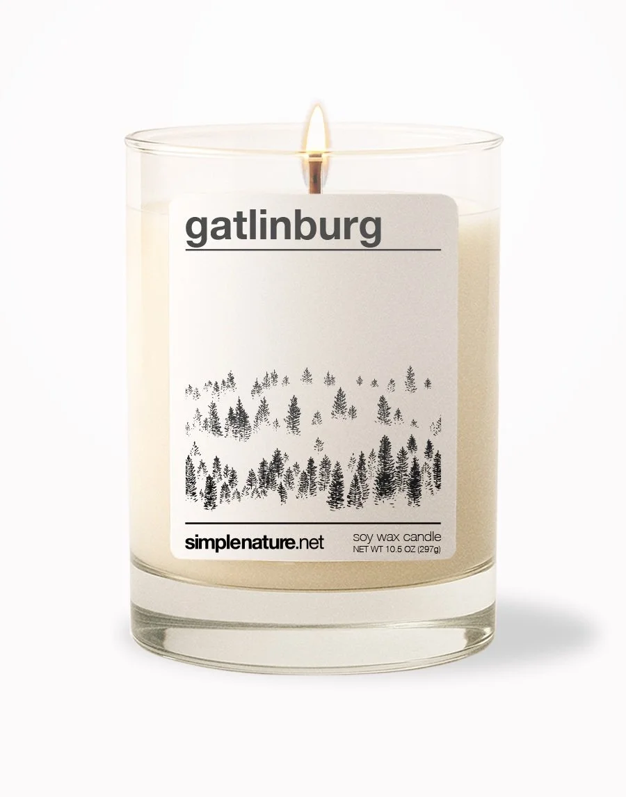 Gatlinburg Front On.jpeg