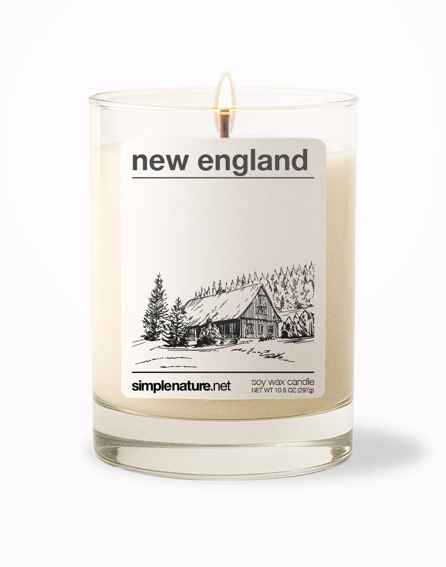 New England Front On.jpeg