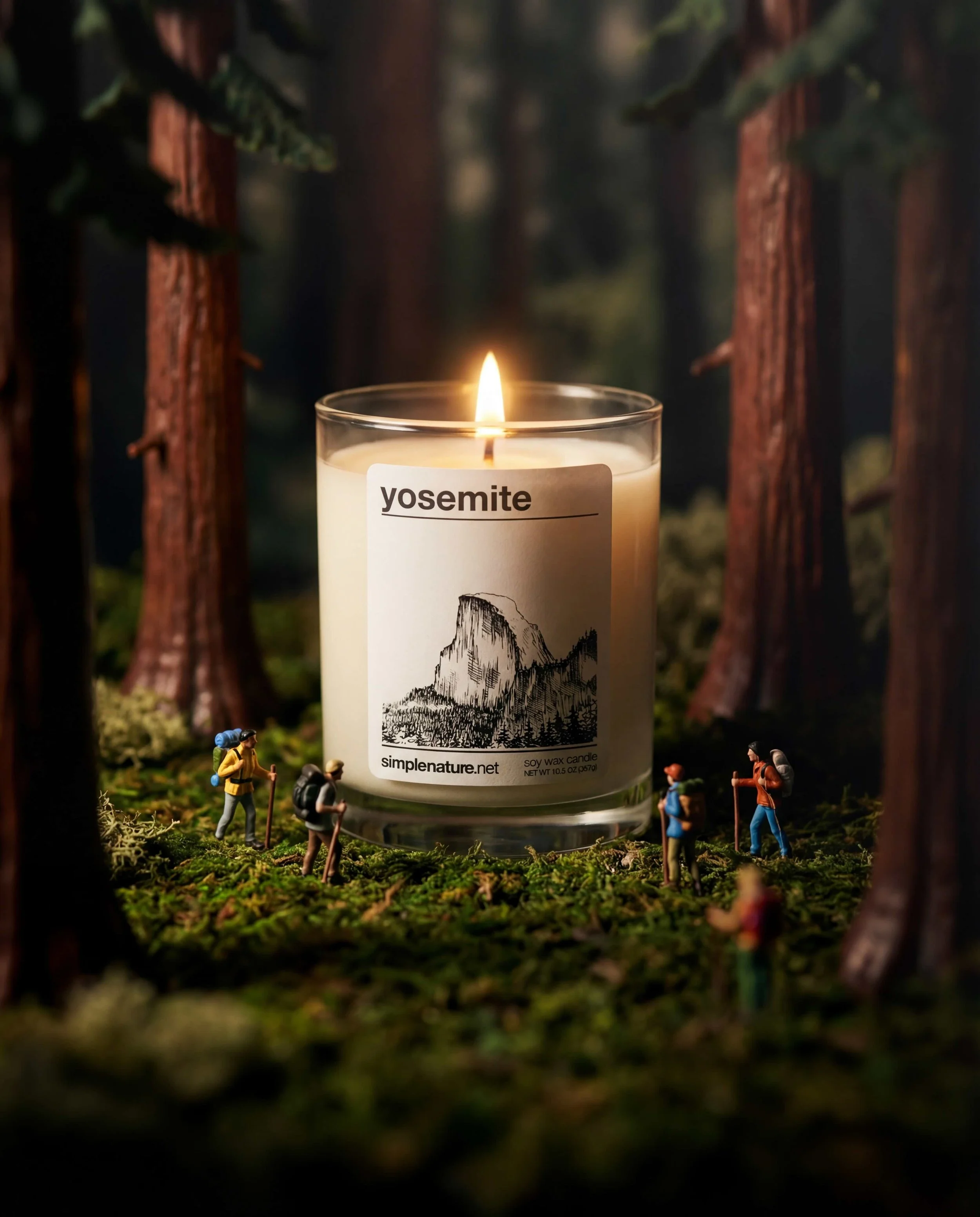 Yosemite-Soy-Wax-Candle-Simple-Nature-Clean-Burning-Fragrant-Scented-woody-national-park.jpeg