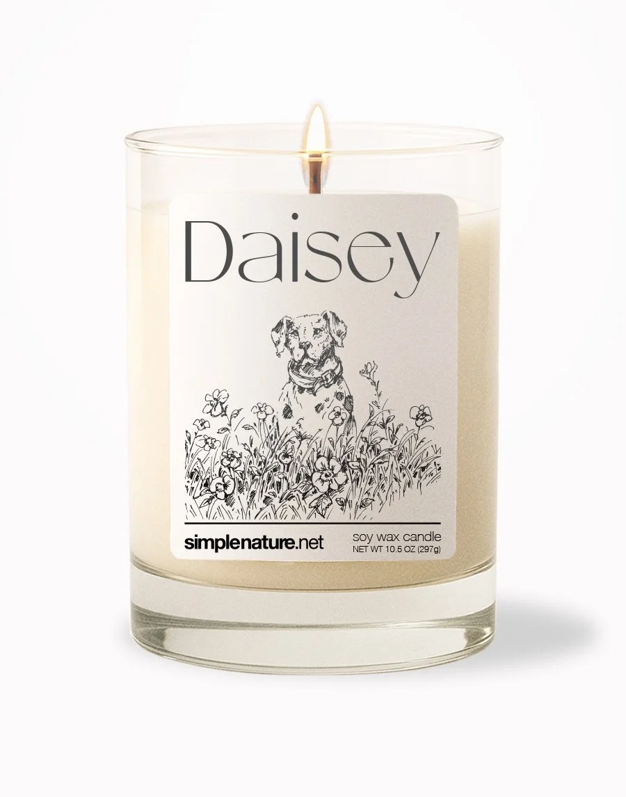 Daisey Front On.jpeg