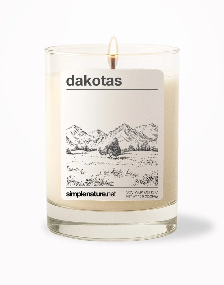 Dakotas Front On.jpeg