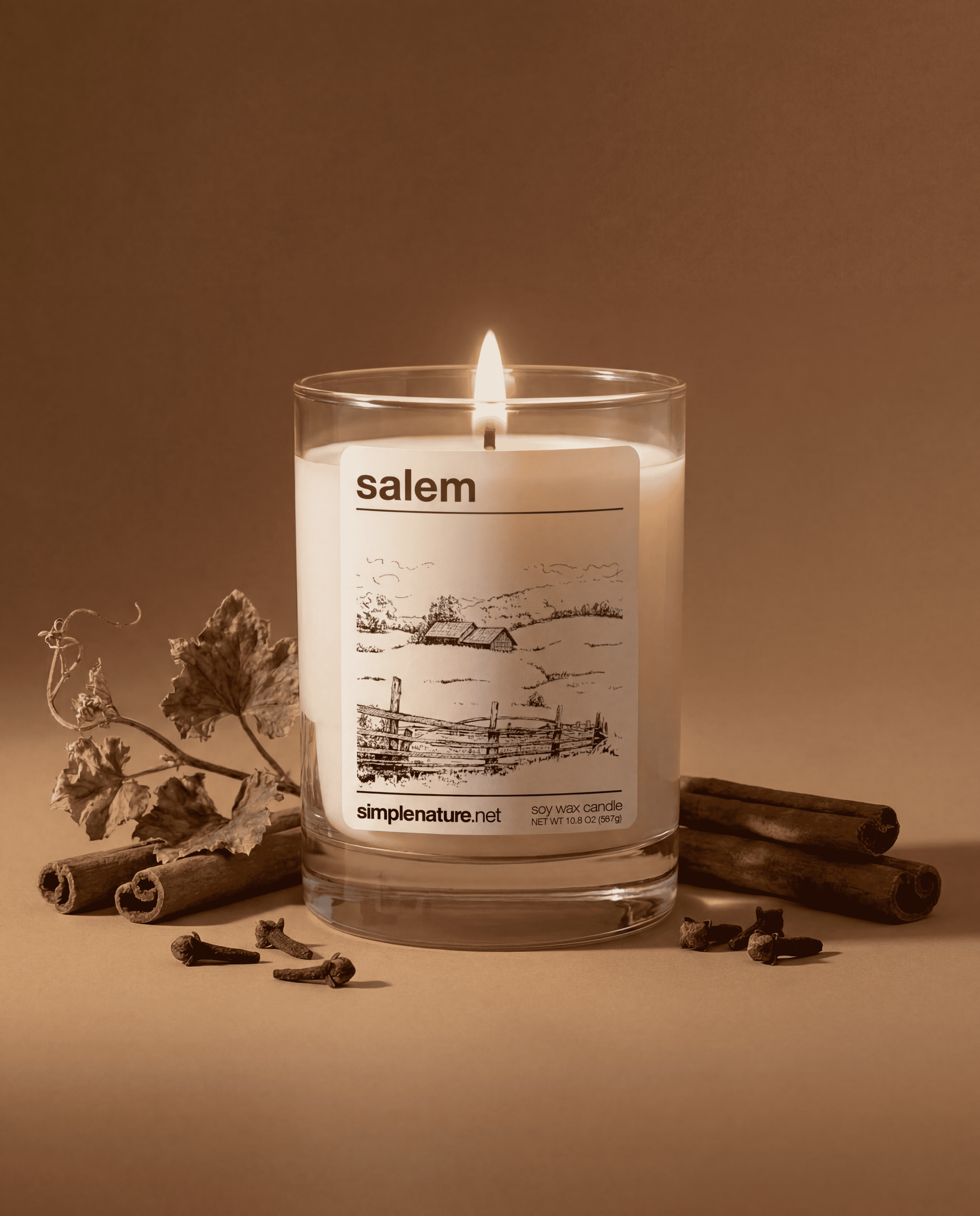 Salem-Simple-Nature-Soy-Wax-Candle-Pumkin-Vine-Cinnamon-Autumn-All-Natural-Candle-cmpr.png