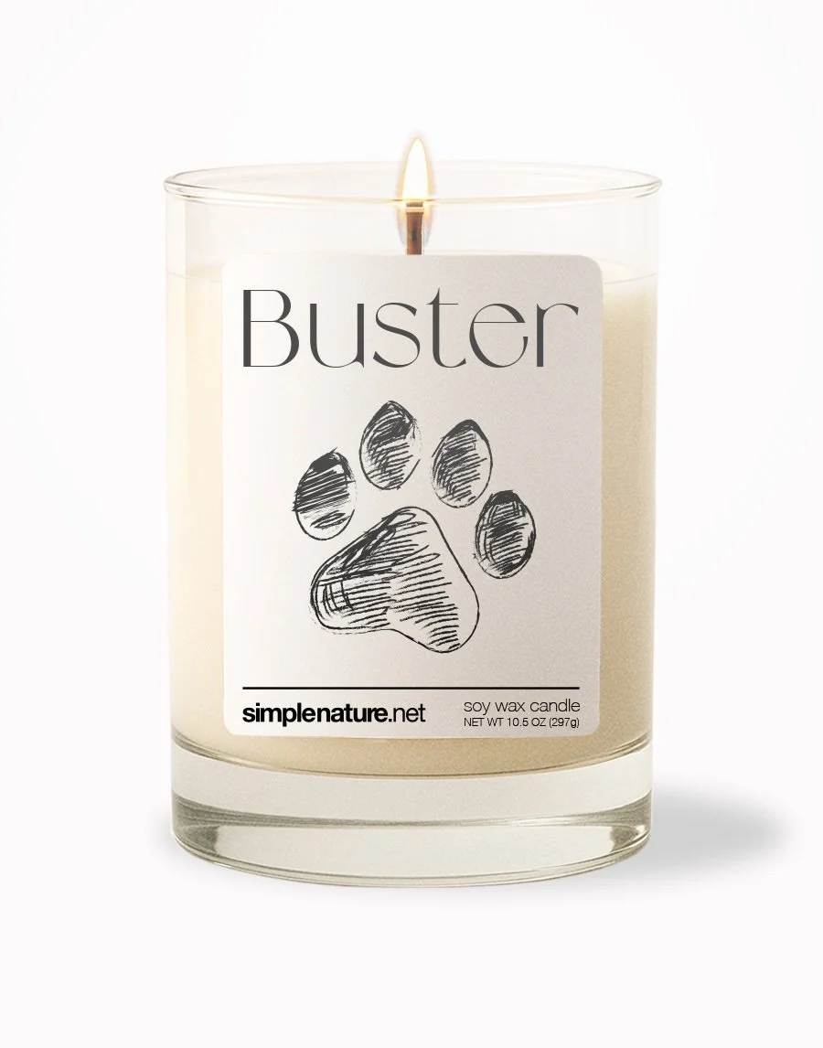 Buster Front On.jpeg