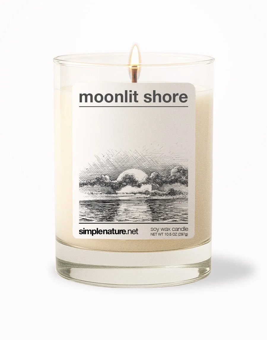 Moonlit Shore Front On.jpeg