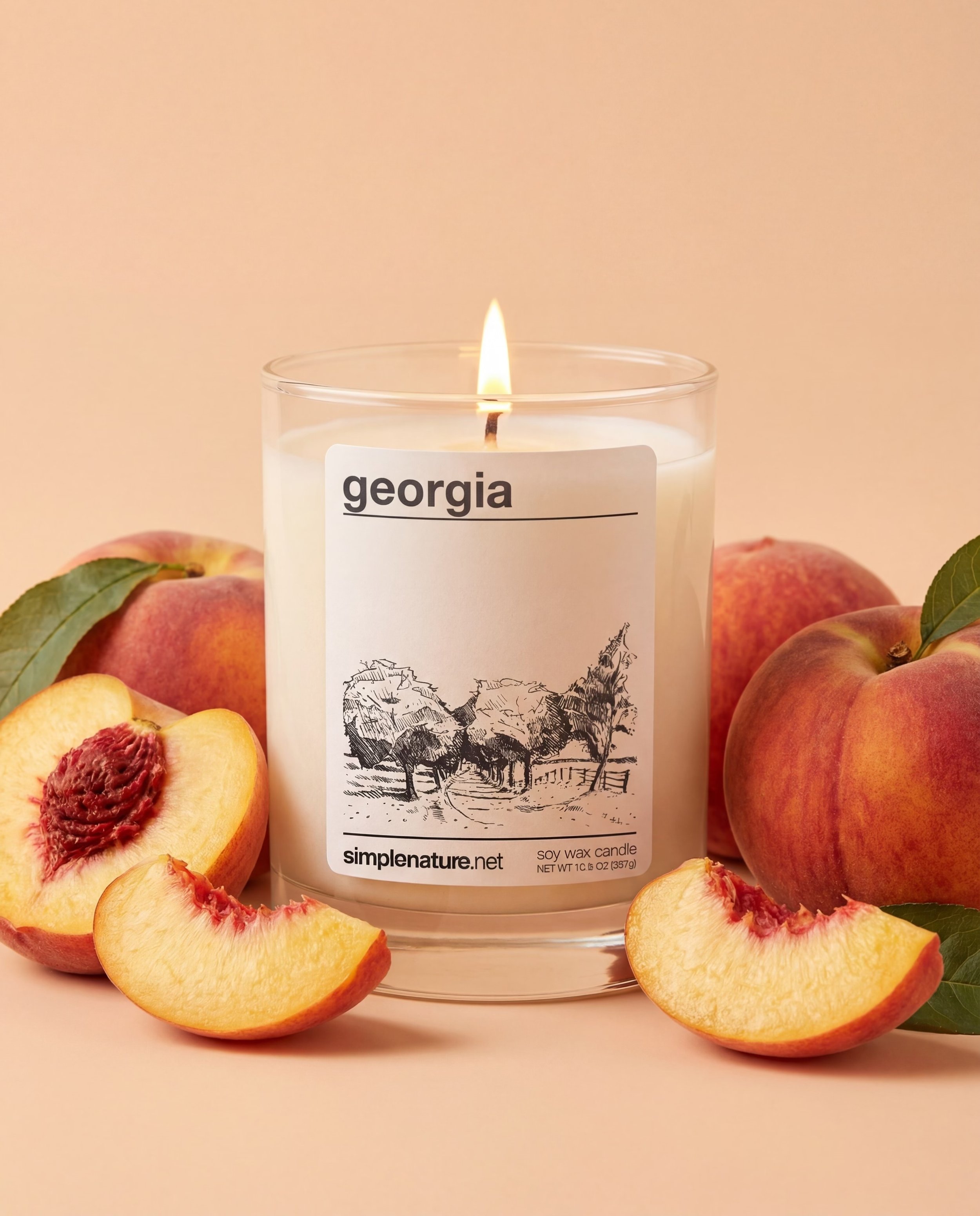 Georgia-Simple-Nature-Soy-Wax-Candle-Long-Lasting-Travel-Destination-Vacation-Theme-Holiday-Gift-Safe-Non-Toxic-Fragrance-Oil-Peach-compressed.jpeg