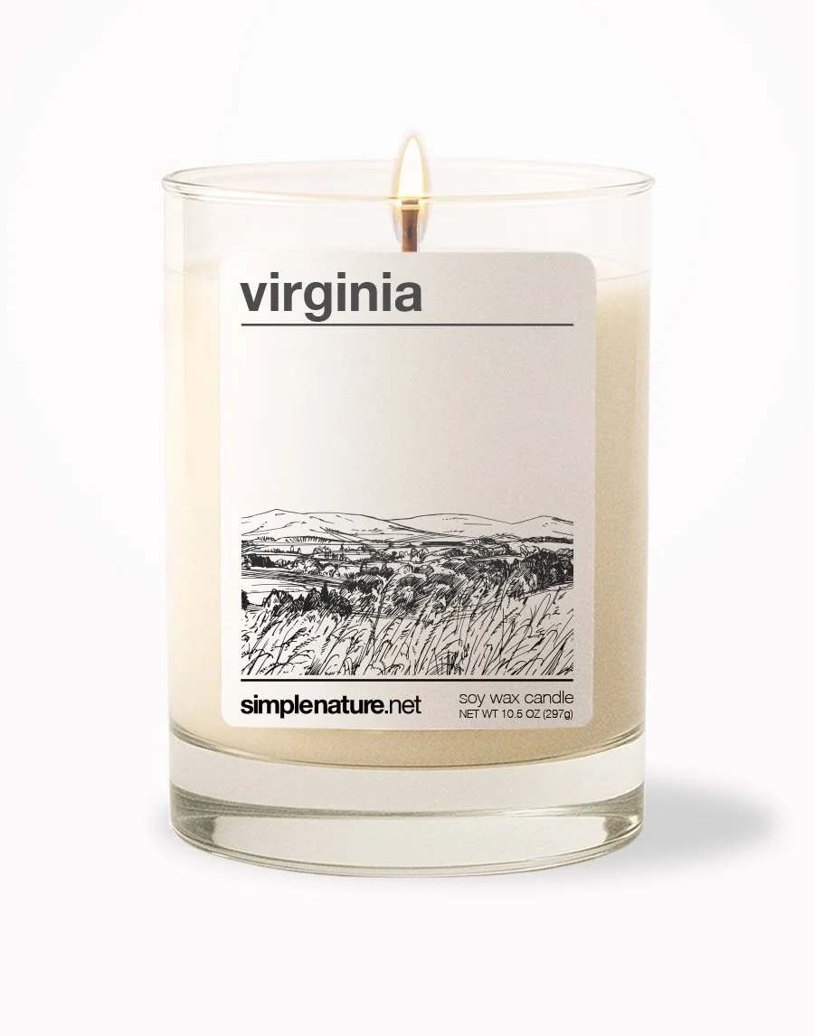 Virginia Front On.jpeg