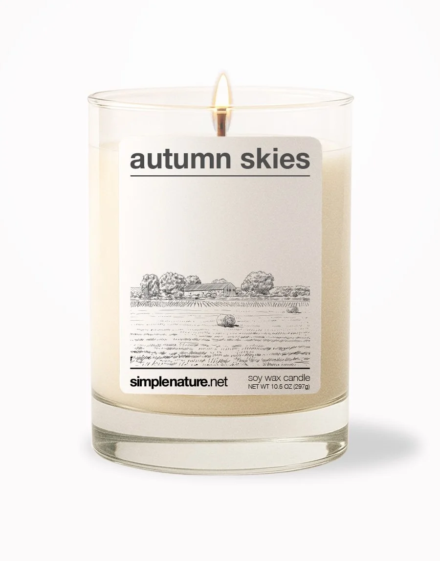 Autumn Skies Front On.jpeg