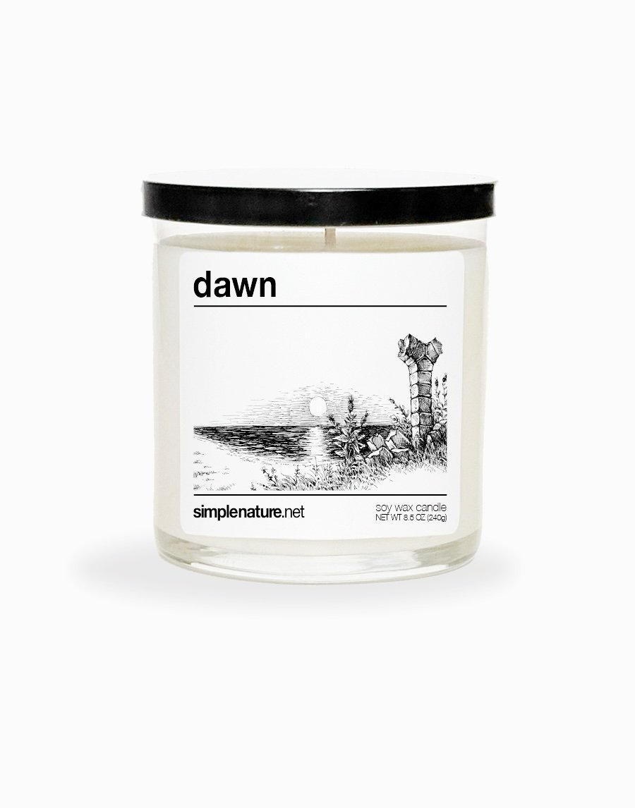 dawn Front Off copy.jpeg