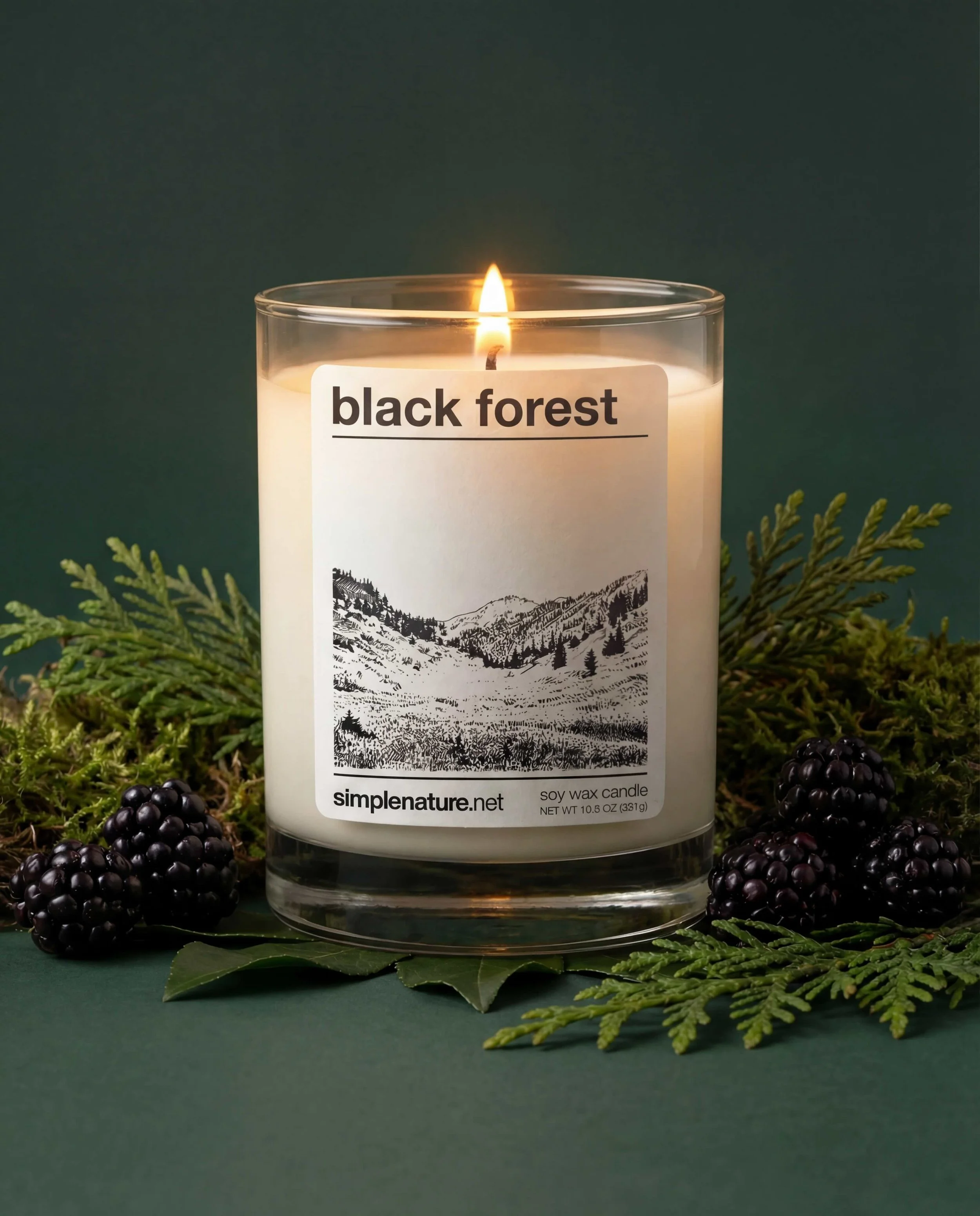 Black-Forest-Simple-Nature-Soy-Wax-Candle-Long-Lasting-Travel-Destination-Vacation-Theme-Holiday-Gift-Safe-Non-Toxic-Fragrance-Oil-Red-Currant-cmpr.jpeg