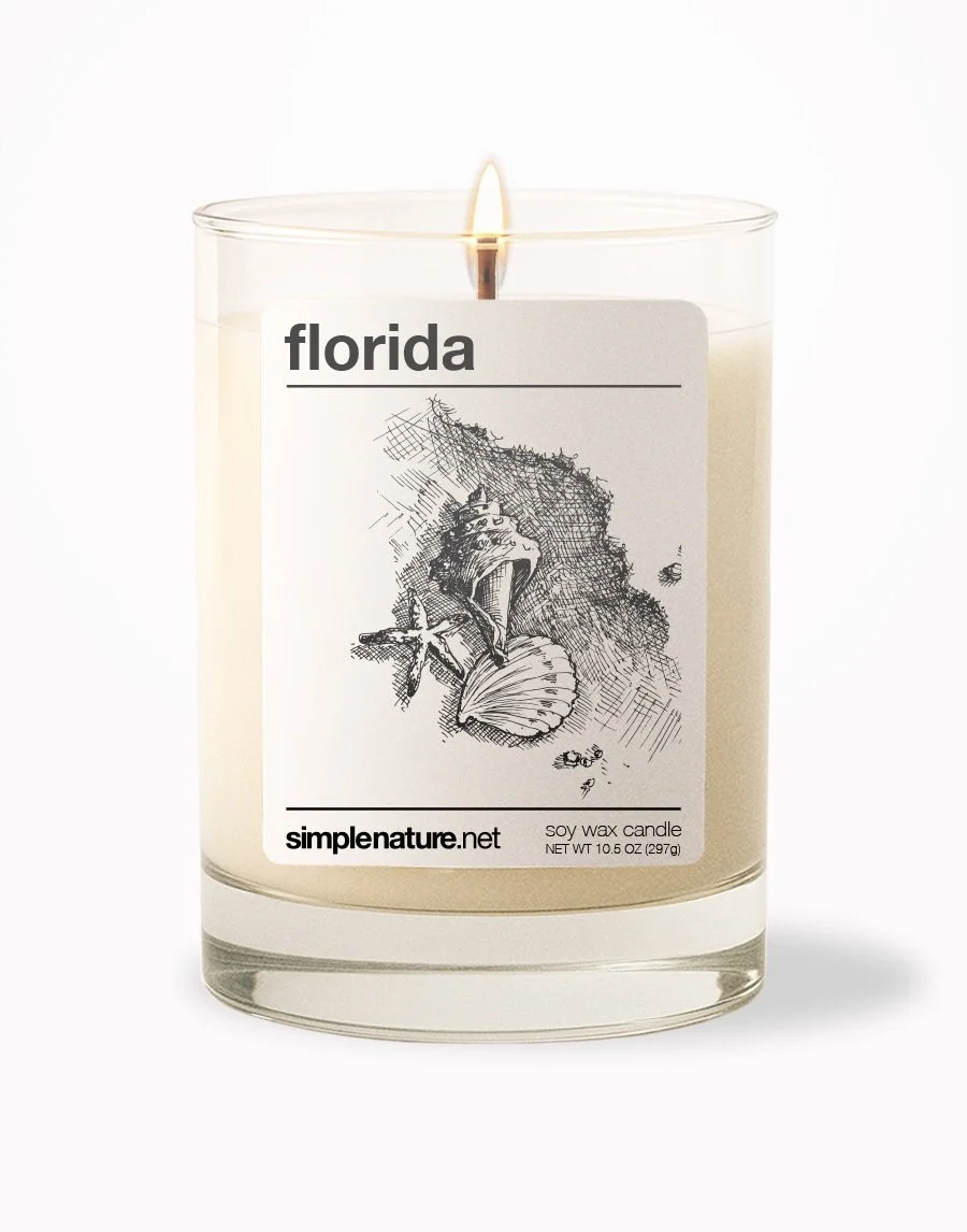 Florida Front On.jpeg