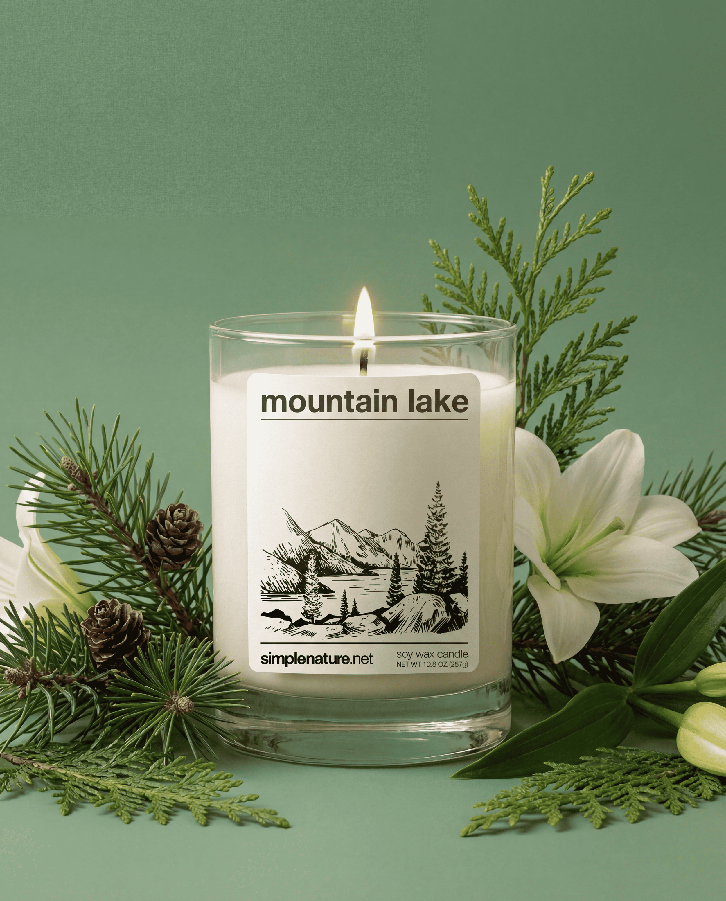 Mountain-Lake-Simple-Nature-Soy-Wax-Candle-Long-Lasting-Travel-Destination-Vacation-Theme-Holiday-Gift-Safe-Non-Toxic-Fragrance-Oil-Pine-Cedar-Lily-cmpr.png