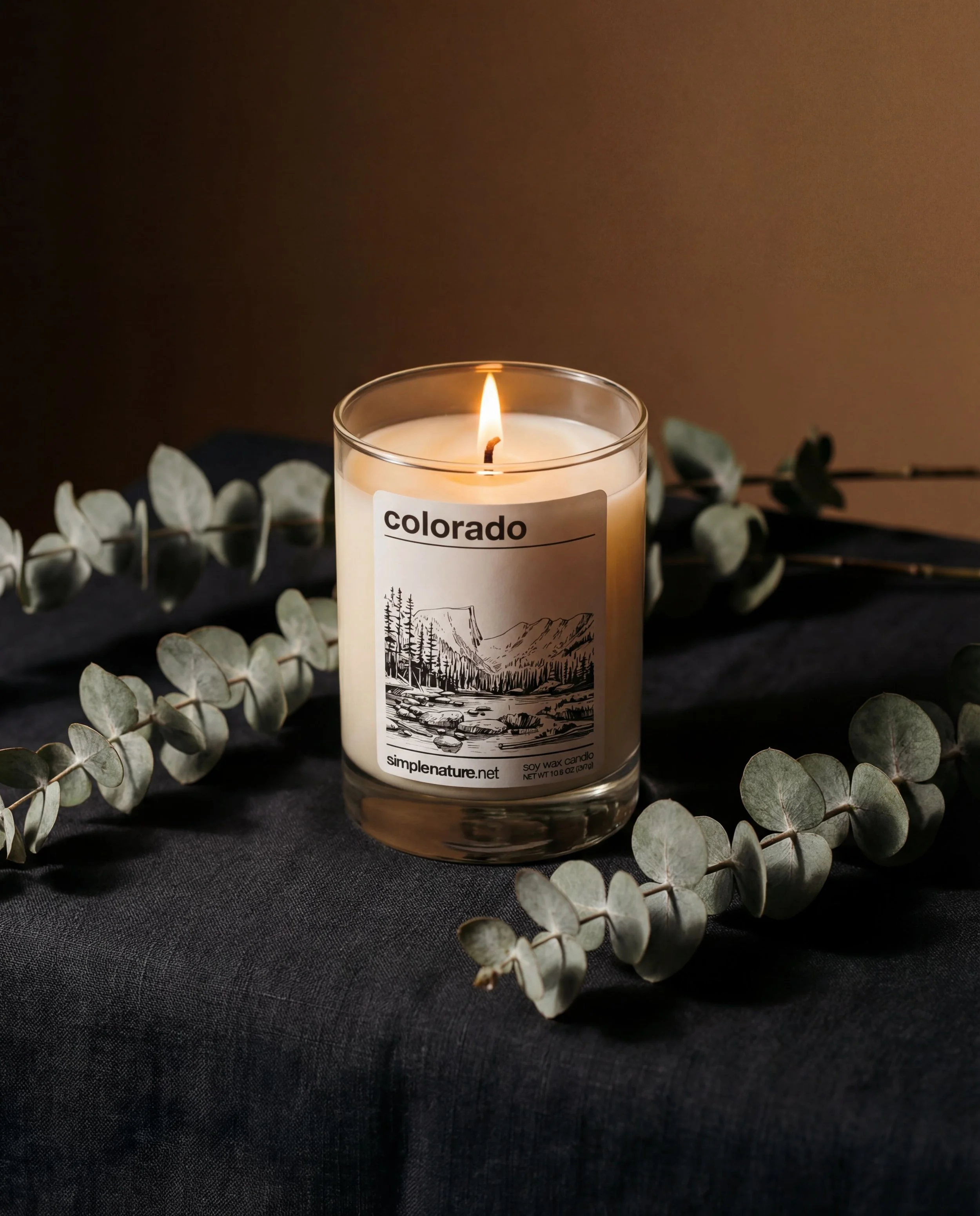 colorado-soy-wax-candle-home-decor-clean-eco-eucalyptus.jpeg