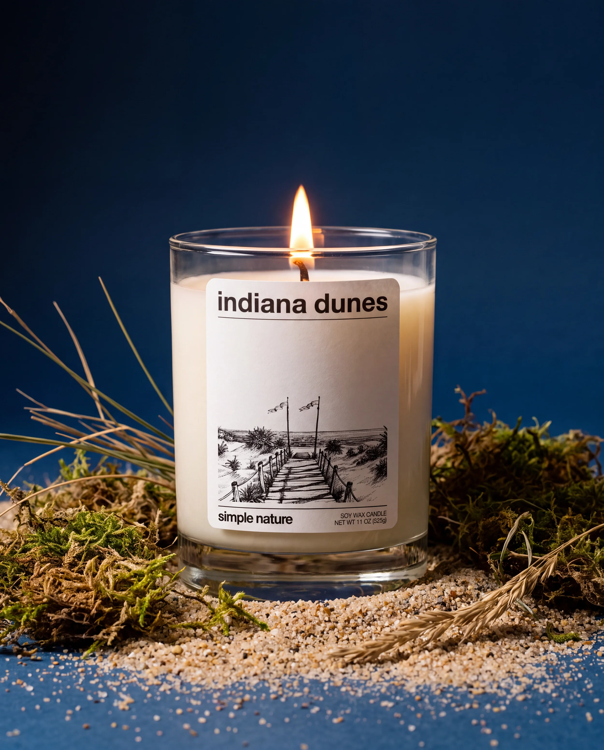 INDIANA DUNES