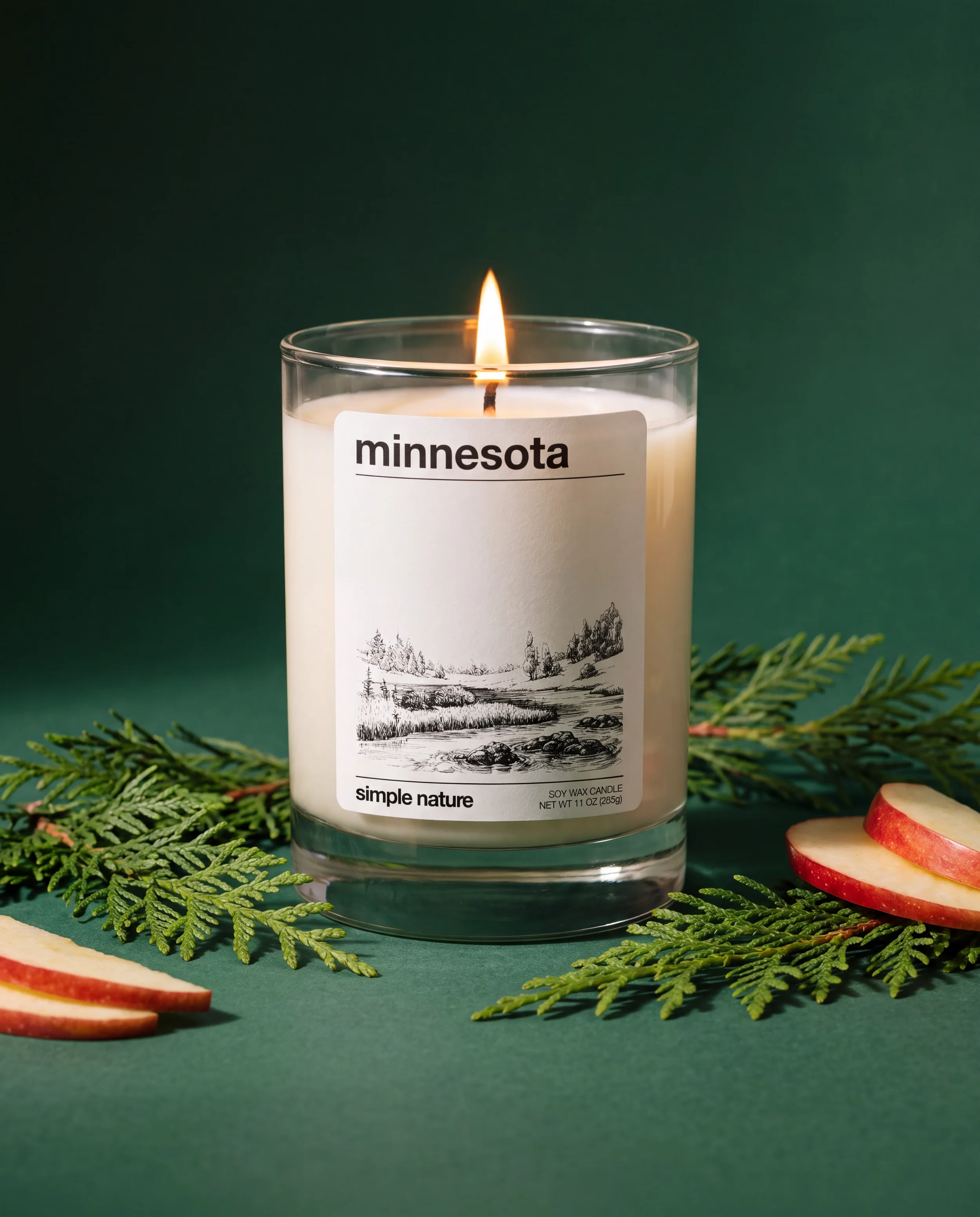MINNESOTA