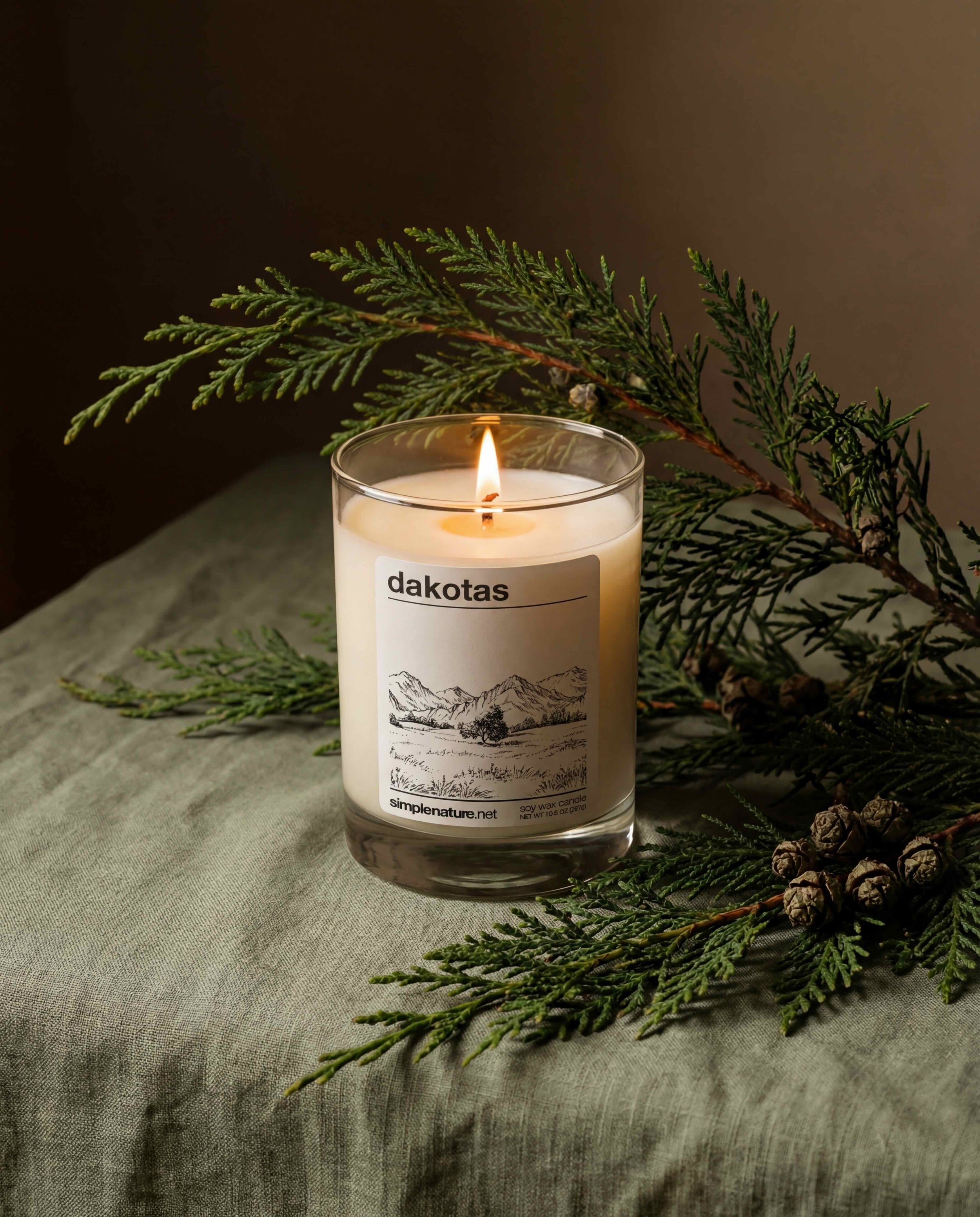 dakotas-soy-wax-candle-home-decor-clean-eco-cypress.jpeg