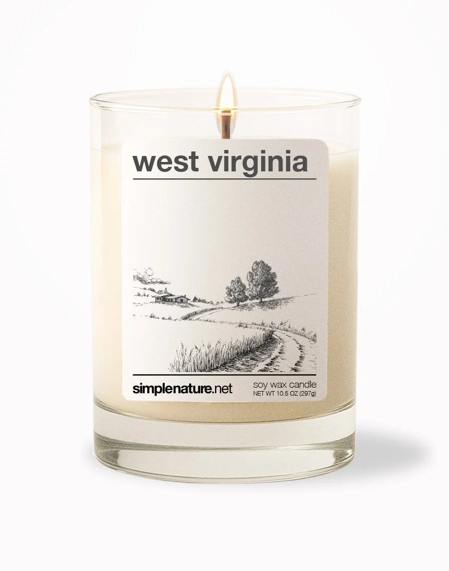 West Virginia Front On.jpeg