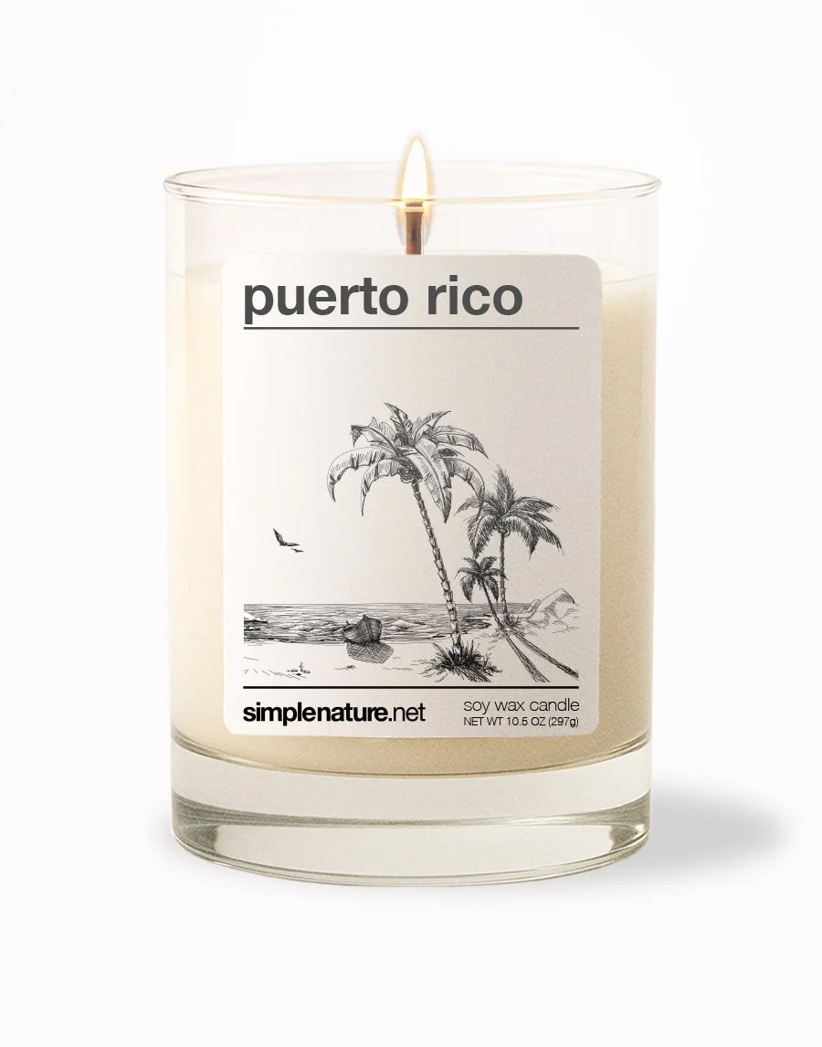 Puerto Rico Front On.jpeg