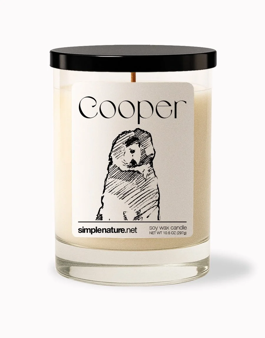 Cooper Front Off.jpeg