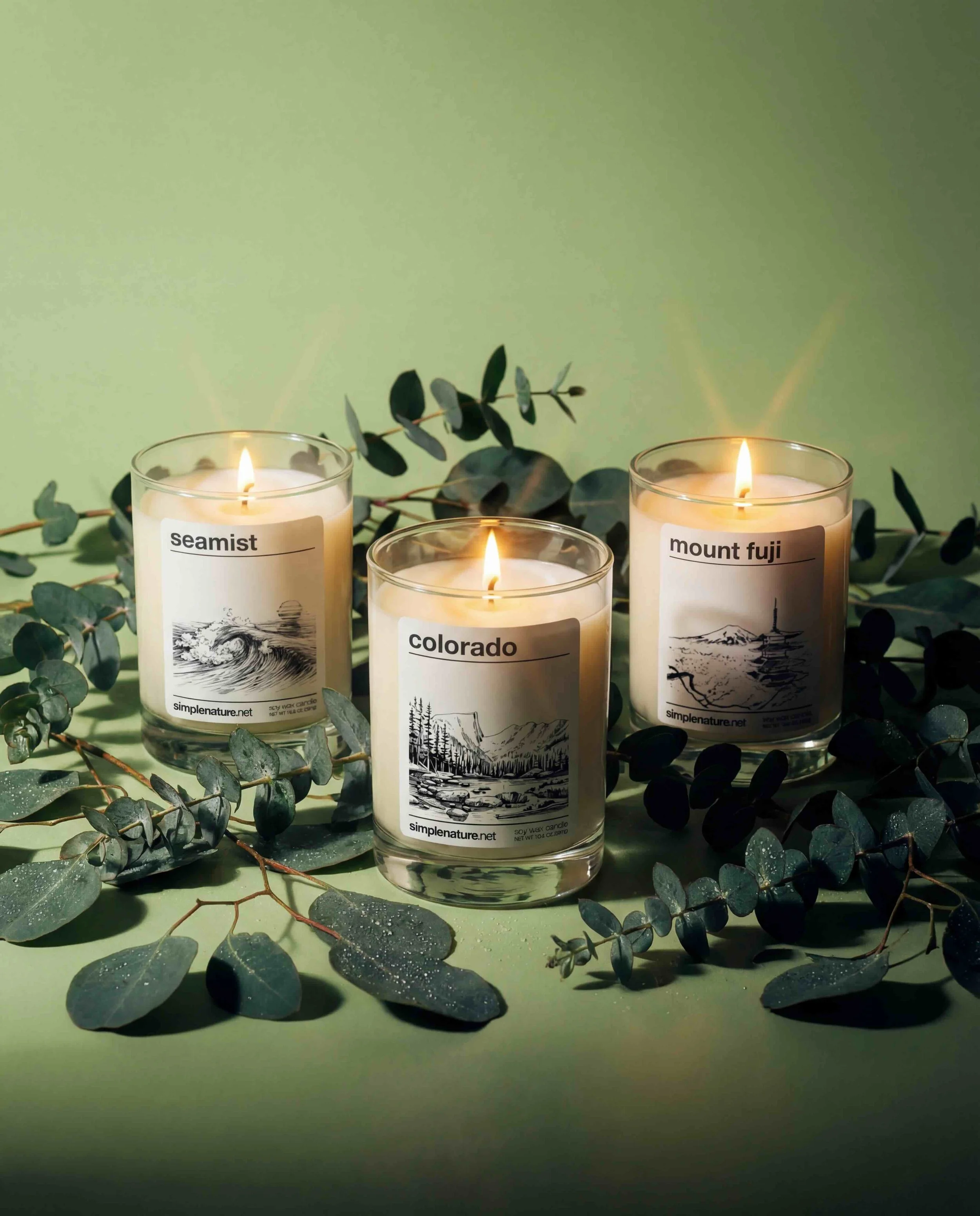 seamist-mount-fuji-colorado-soy-wax-candle-clean-safe-non-toxic-clean-burning-fresh-eucalyptus-bright-green.jpeg